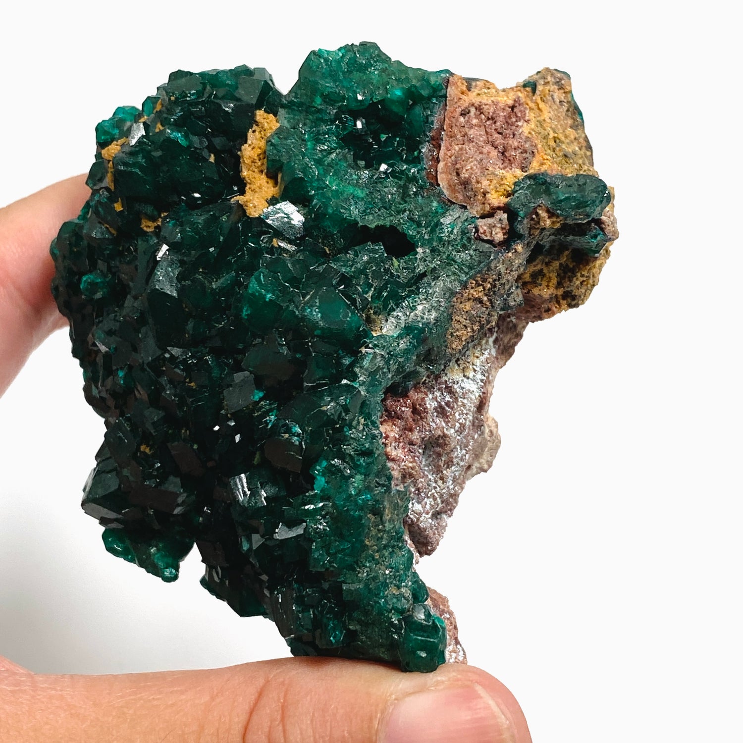 Dioptase Crystal Specimen - Congo CR3744