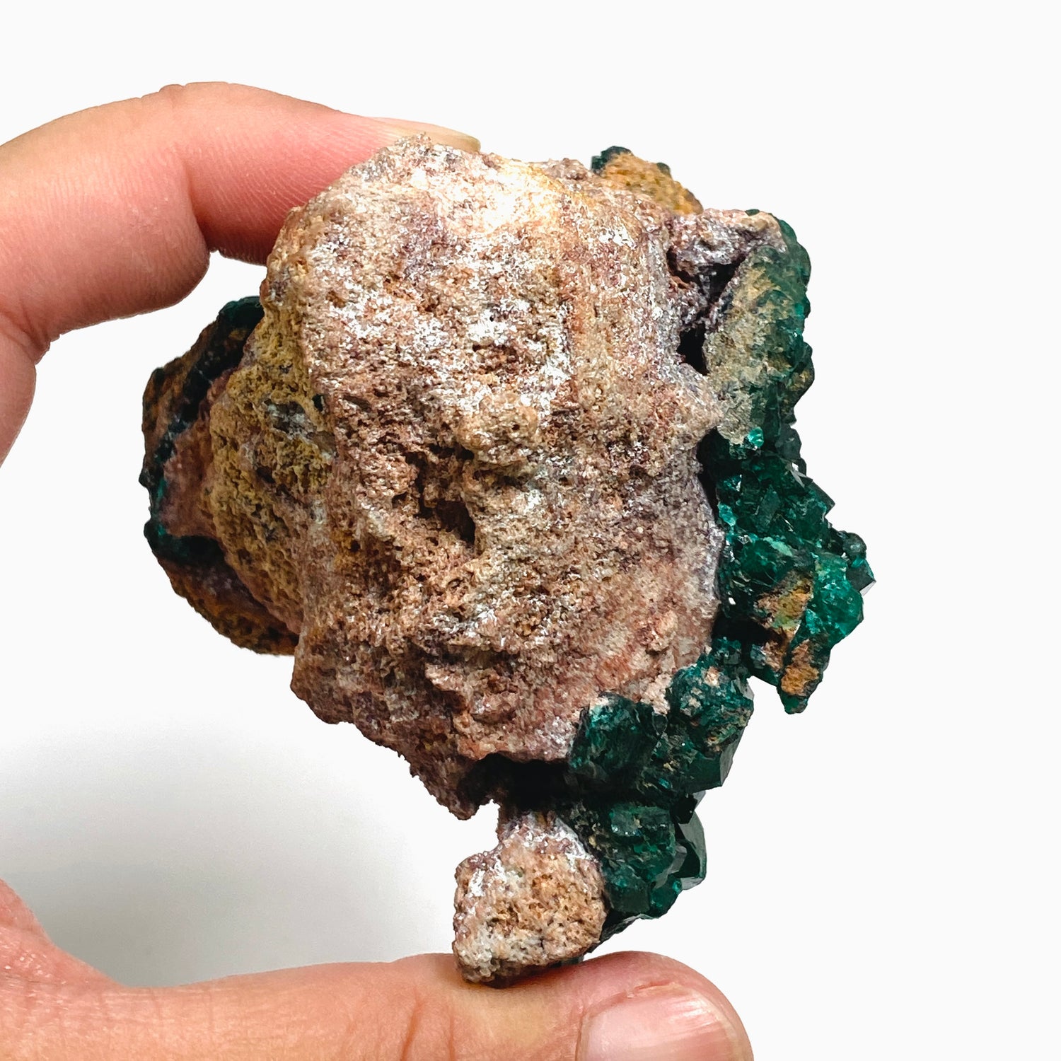 Dioptase Crystal Specimen - Congo CR3744