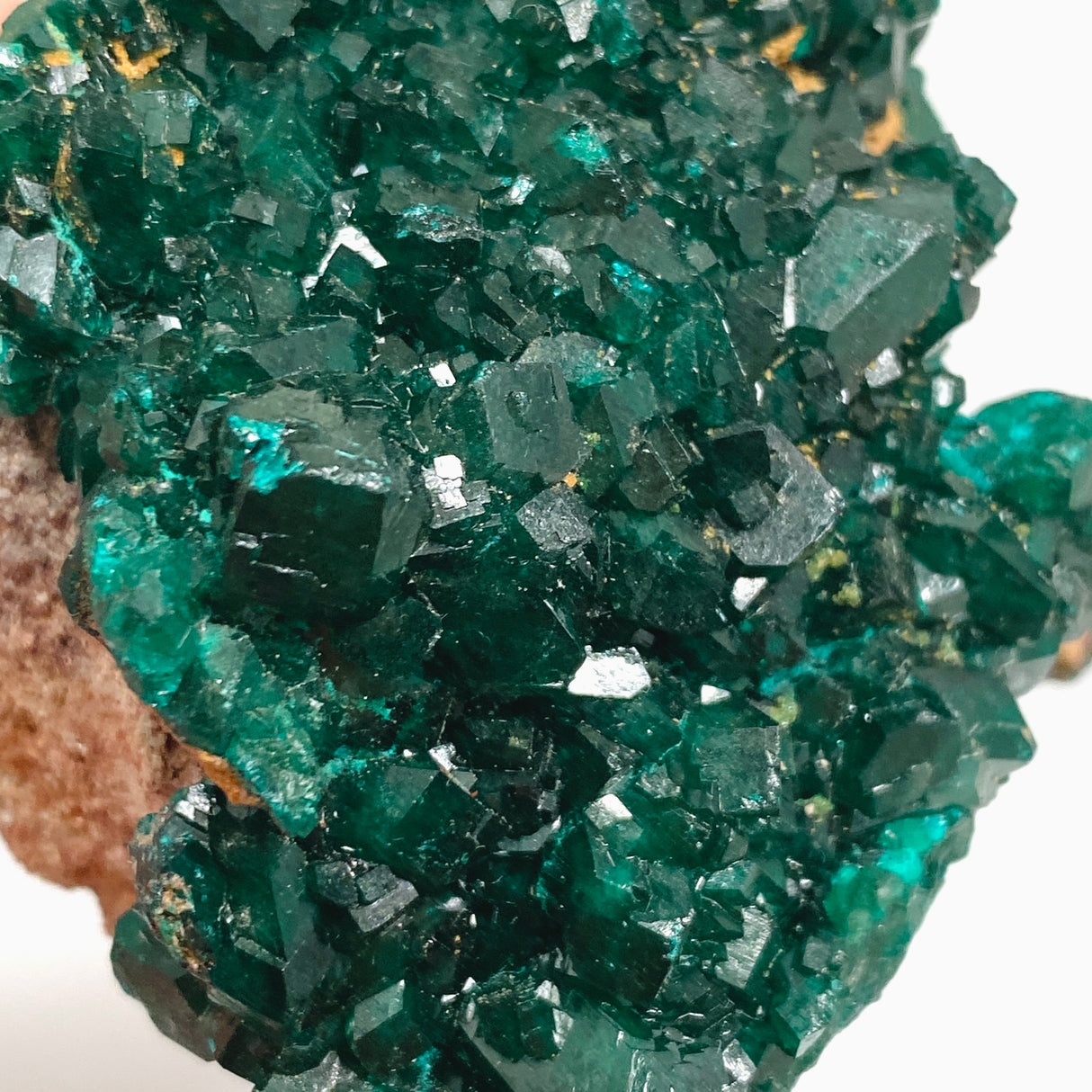 Dioptase Crystal Specimen - Congo CR3744