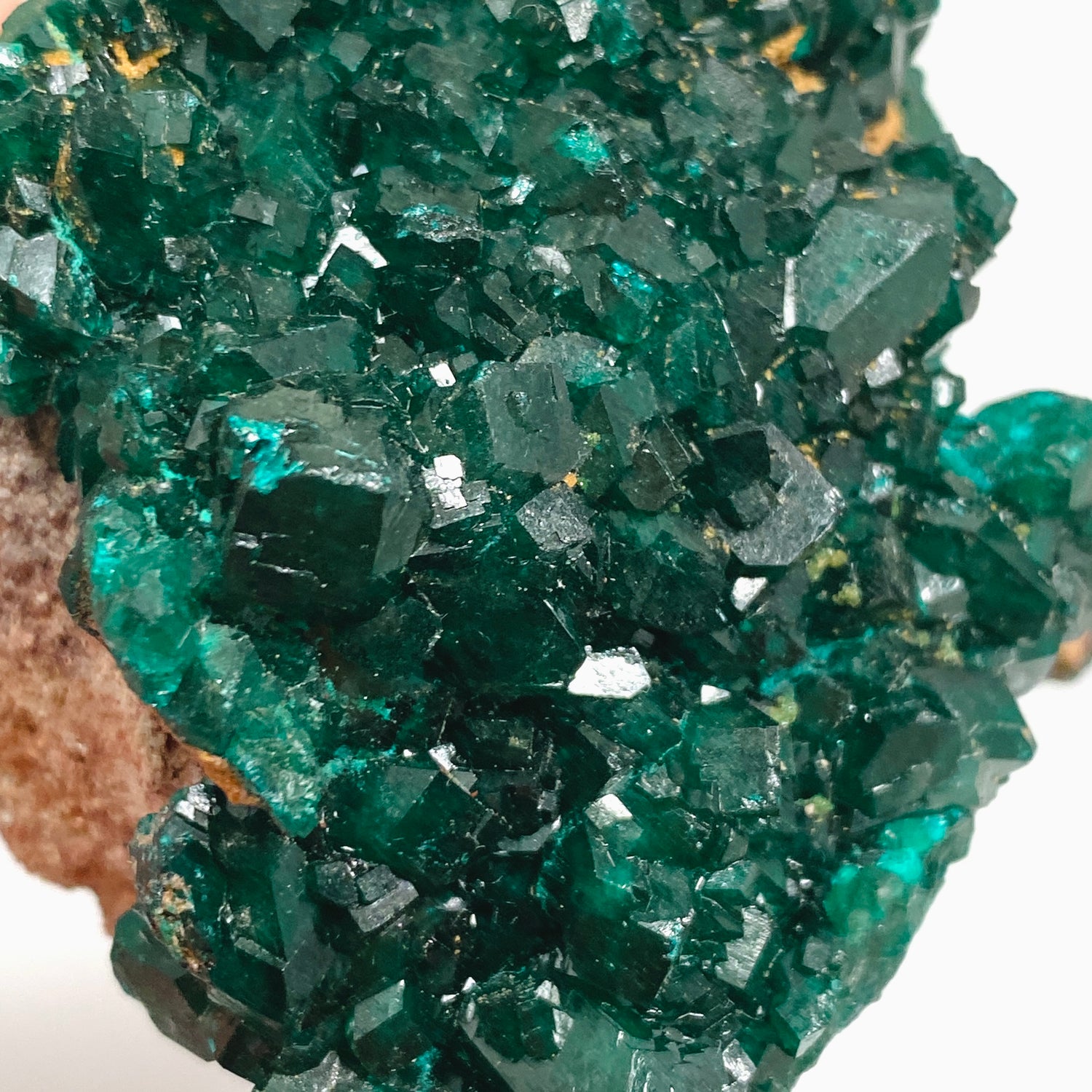 Dioptase Crystal Specimen - Congo CR3744