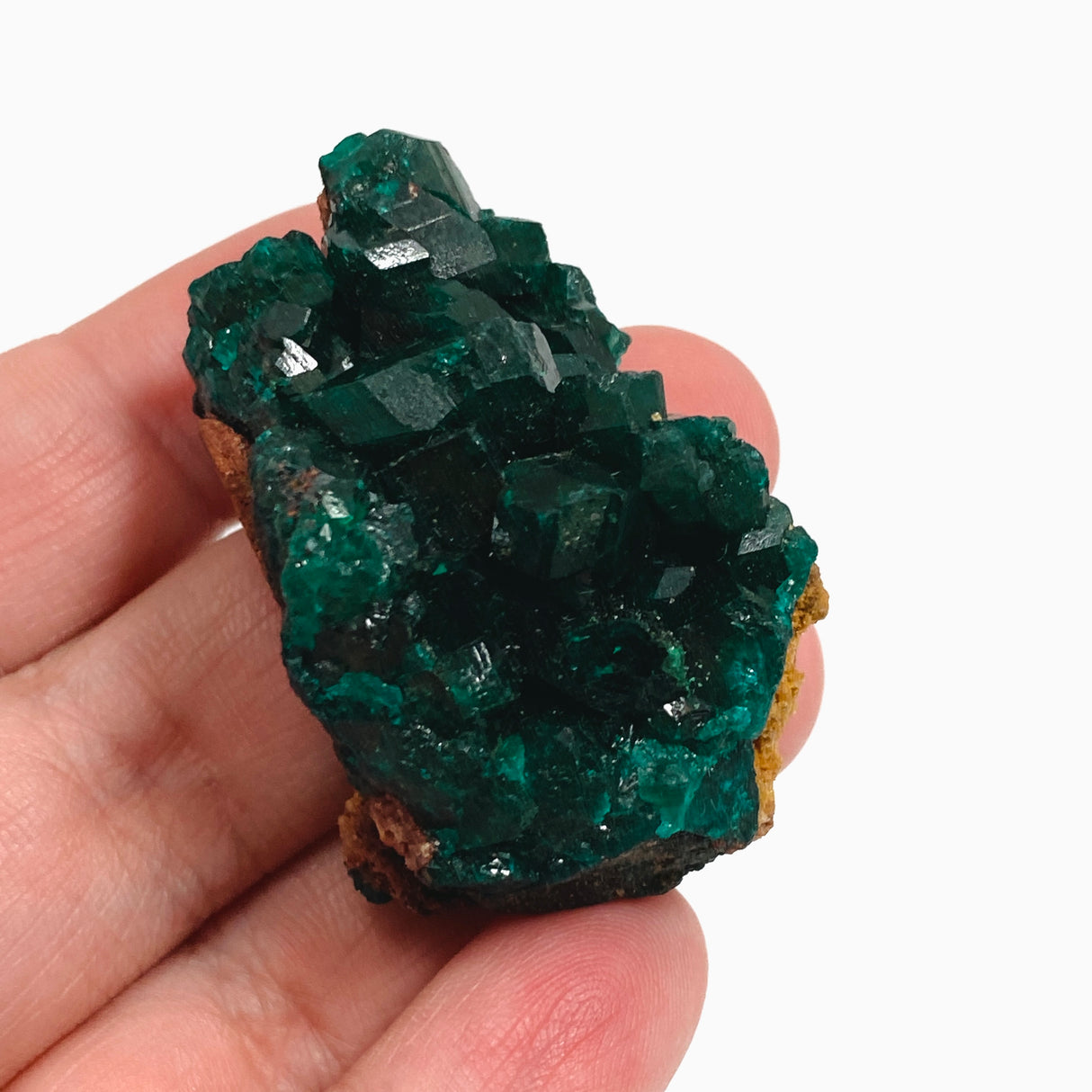 Dioptase Specimen DIOPS-02