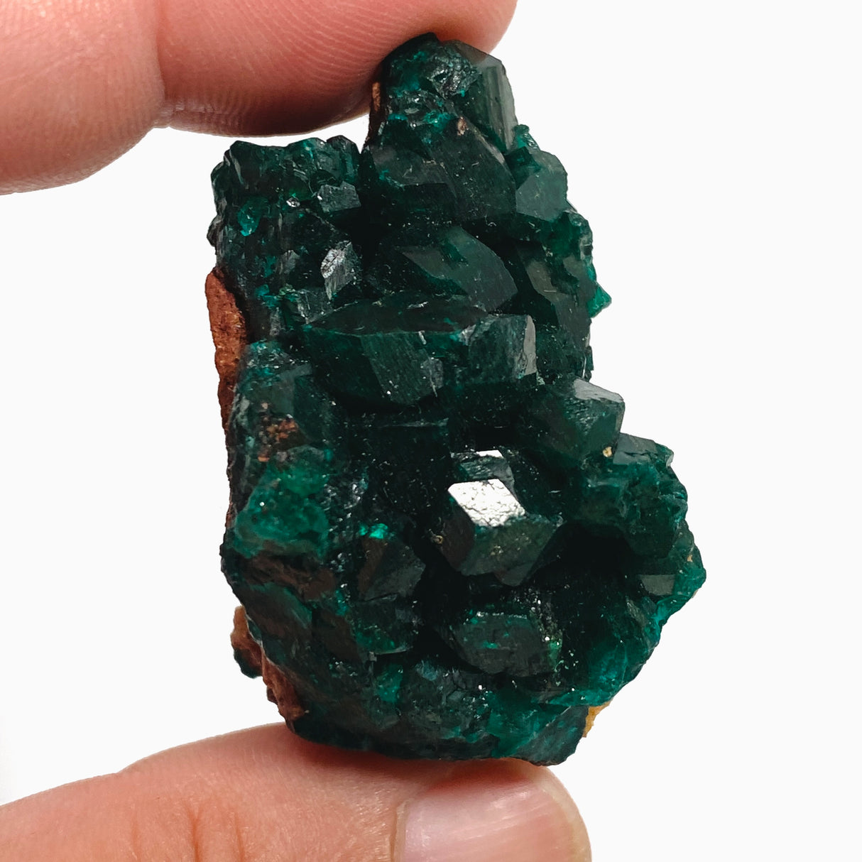 Dioptase Specimen DIOPS-02