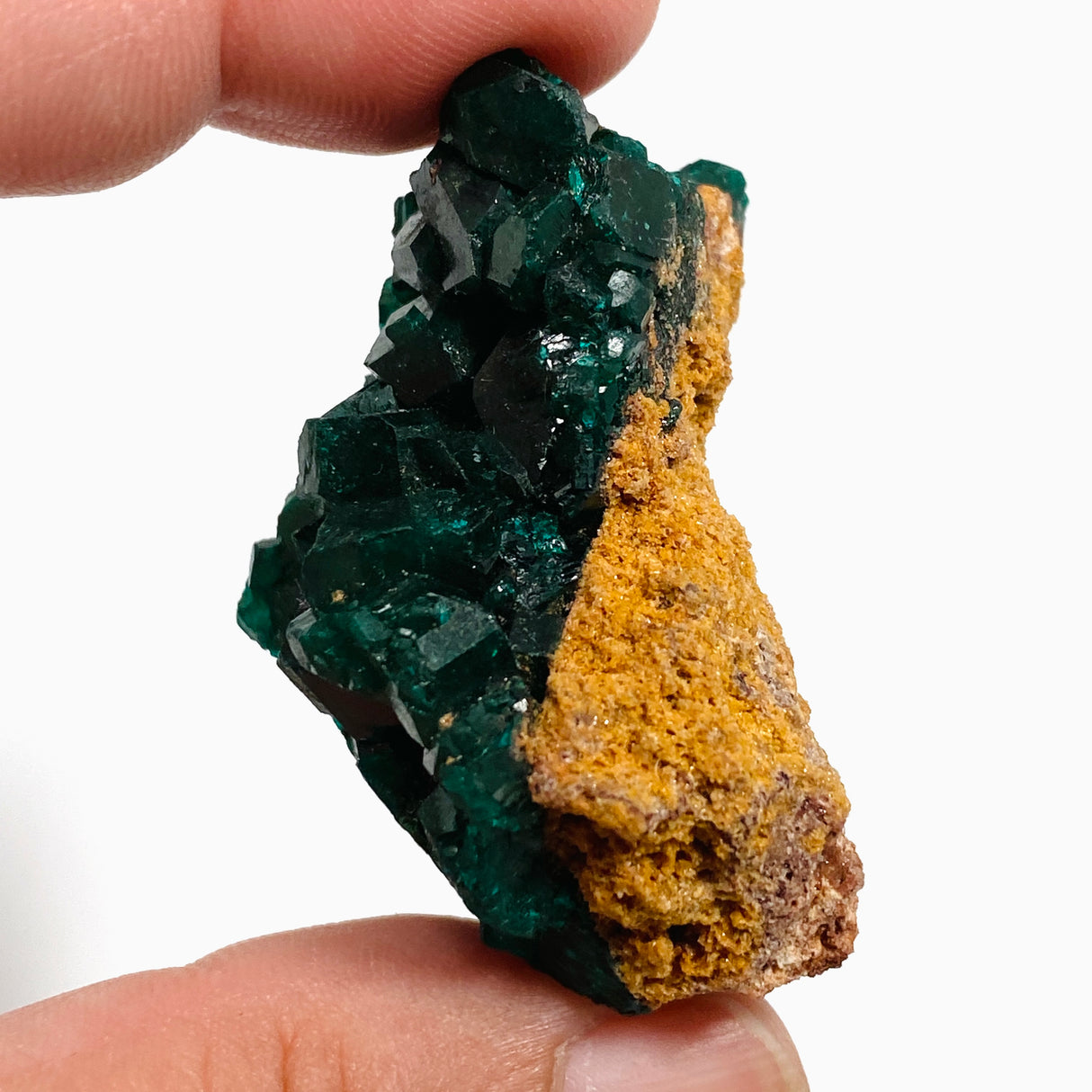 Dioptase Specimen DIOPS-02