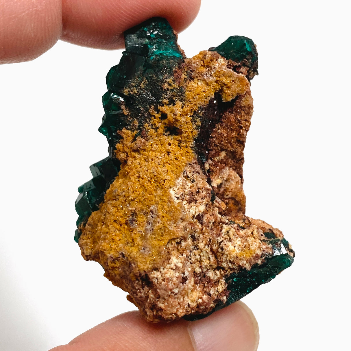 Dioptase Specimen DIOPS-02