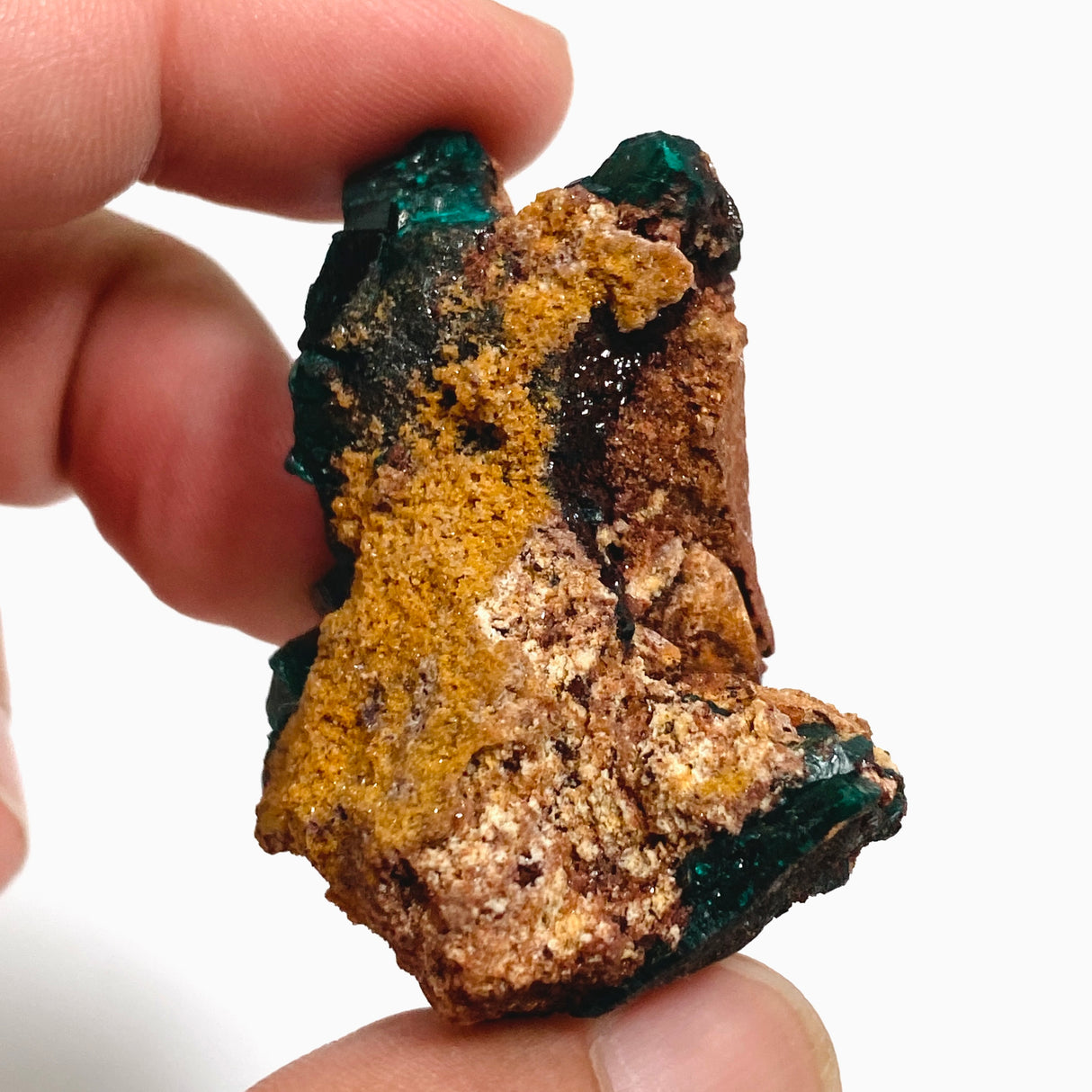 Dioptase Specimen DIOPS-02