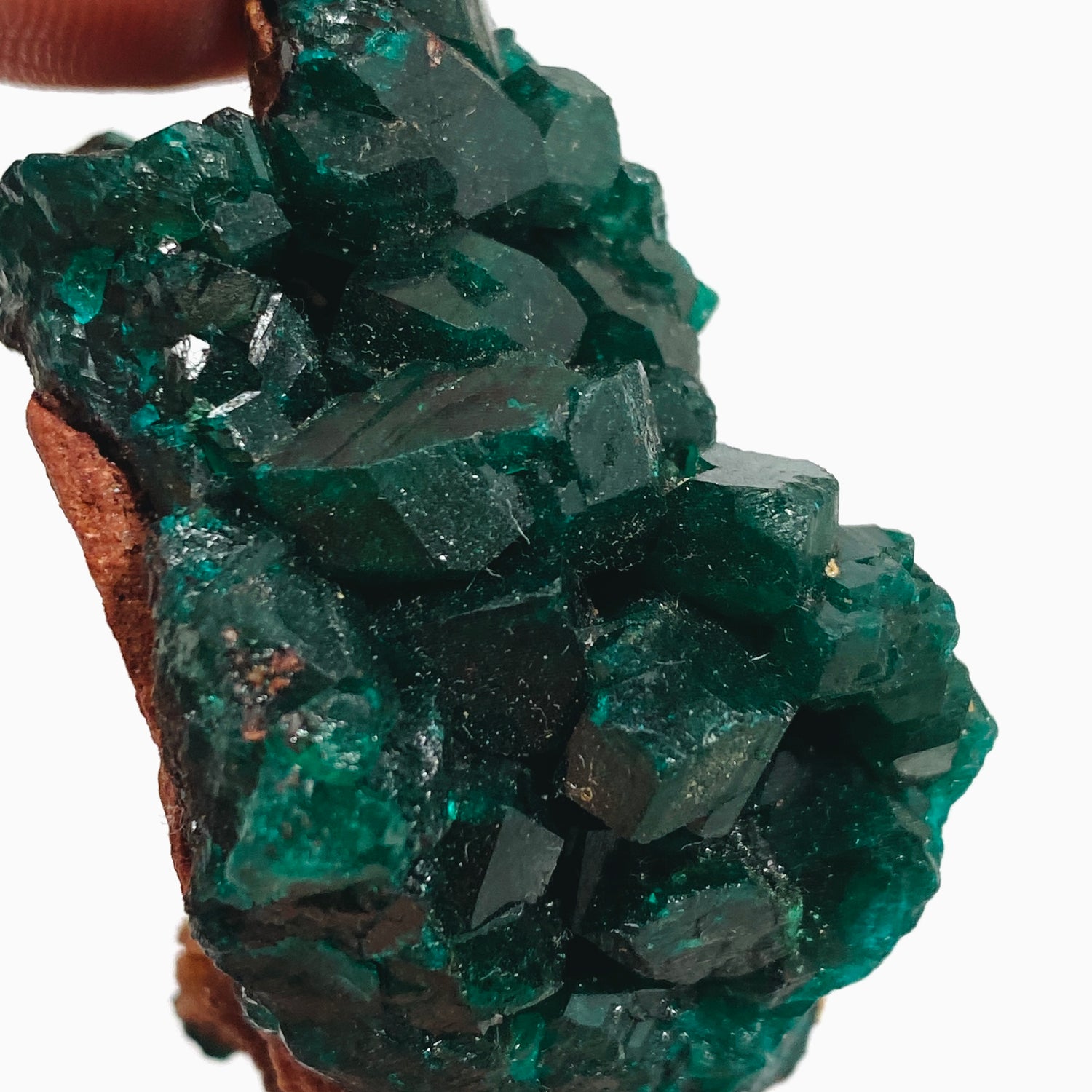 Dioptase Specimen DIOPS-02