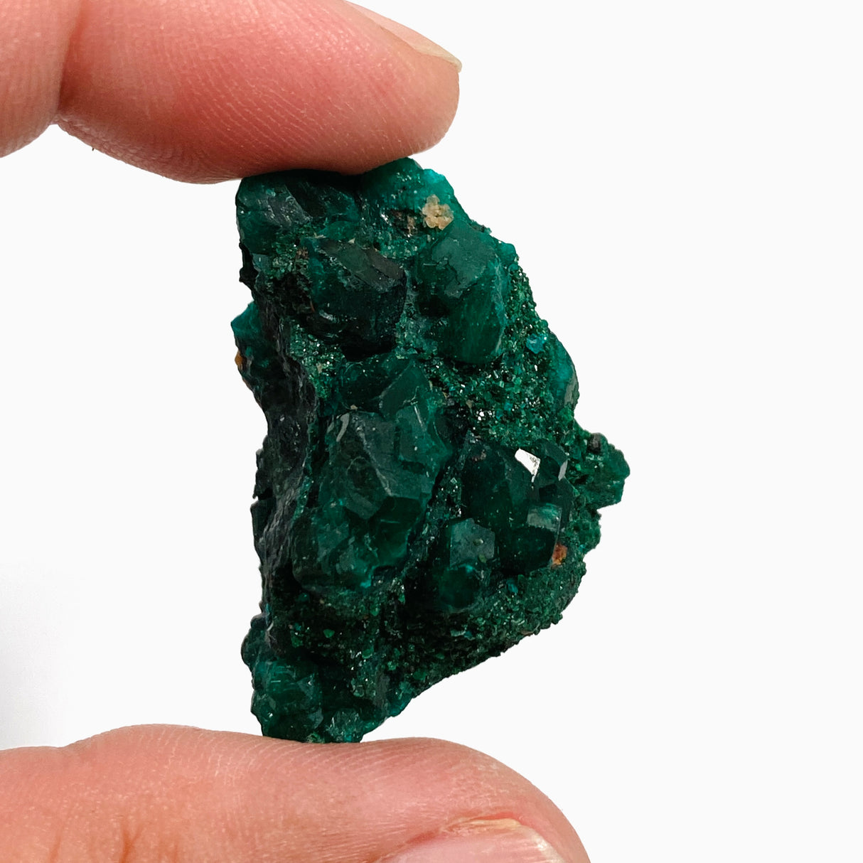 Dioptase Specimen DIOPS-04