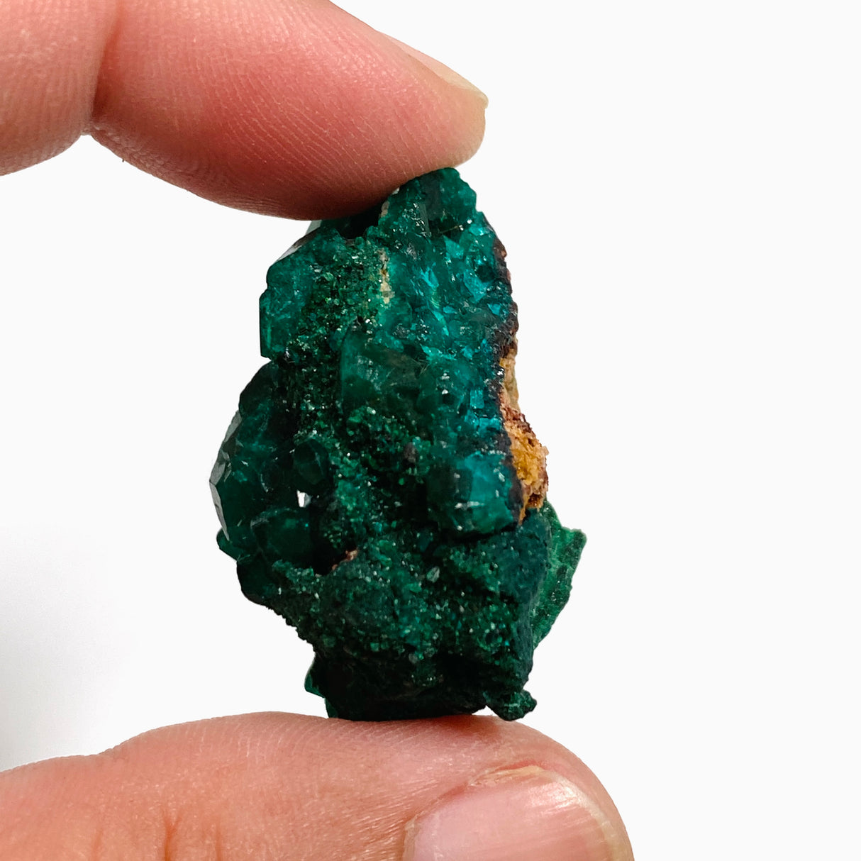 Dioptase Specimen DIOPS-04