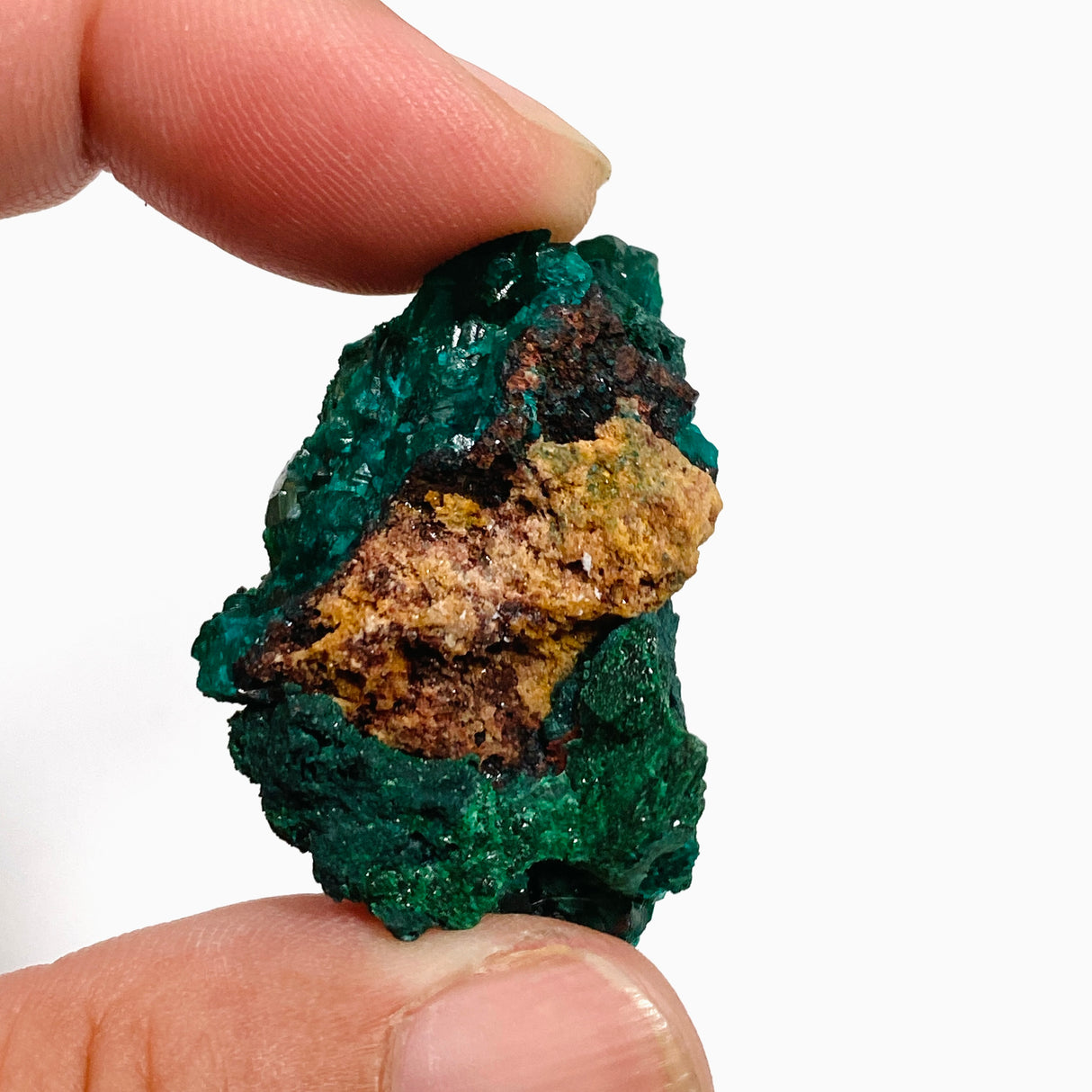 Dioptase Specimen DIOPS-04