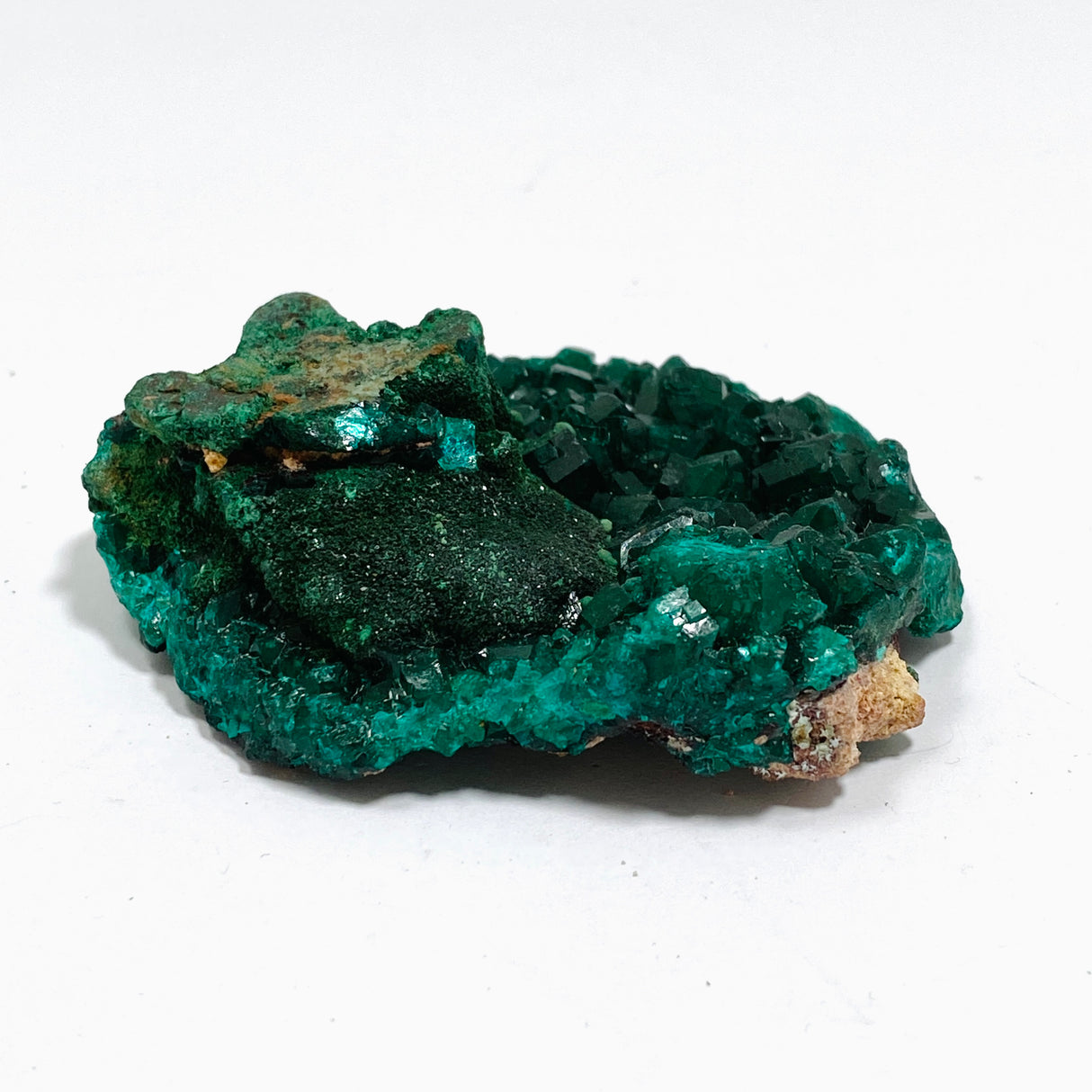 Dioptase with Malachite Crystal Specimen - Congo CR3743