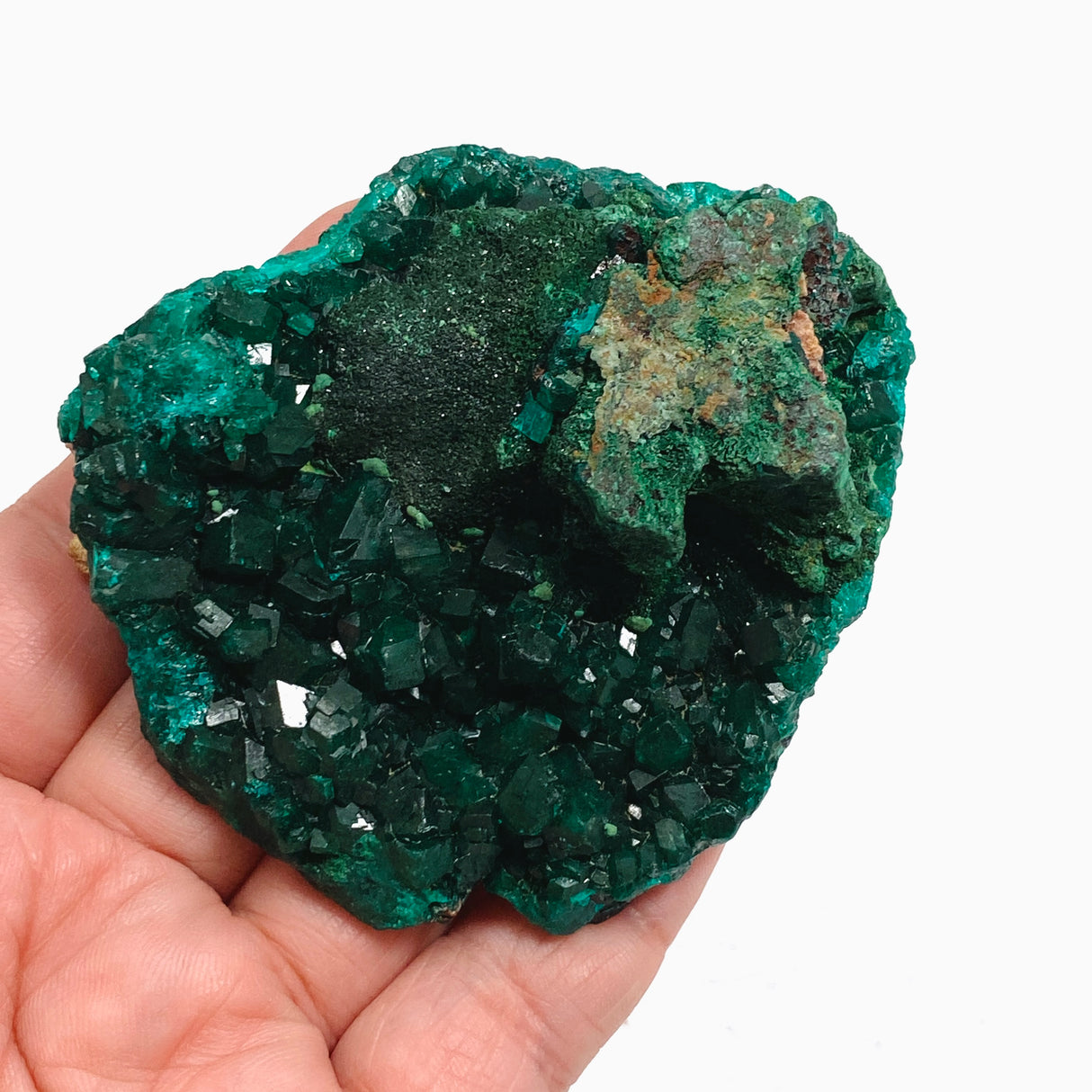 Dioptase with Malachite Crystal Specimen - Congo CR3743