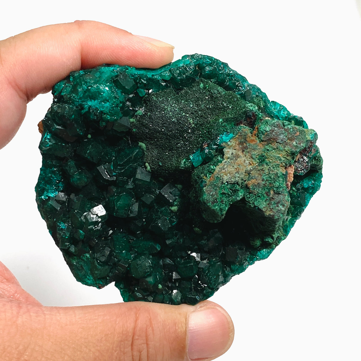Dioptase with Malachite Crystal Specimen - Congo CR3743