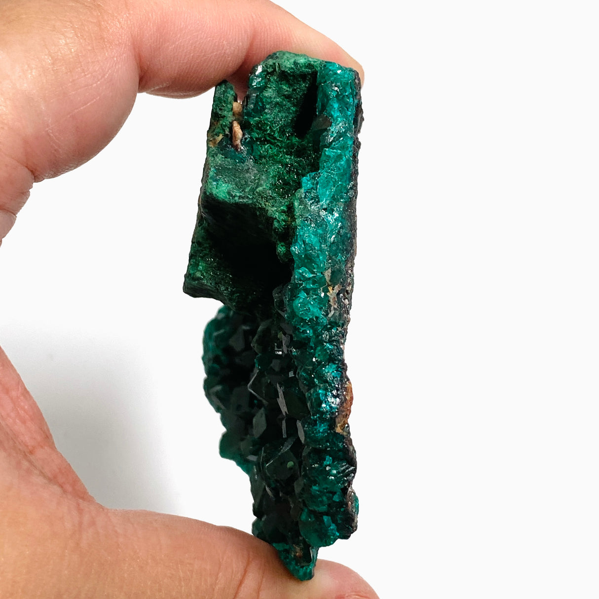 Dioptase with Malachite Crystal Specimen - Congo CR3743