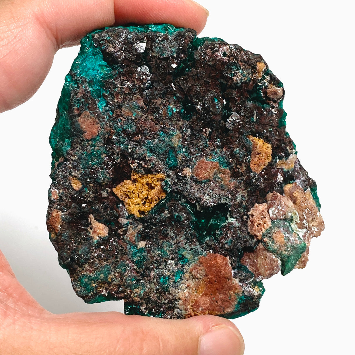 Dioptase with Malachite Crystal Specimen - Congo CR3743