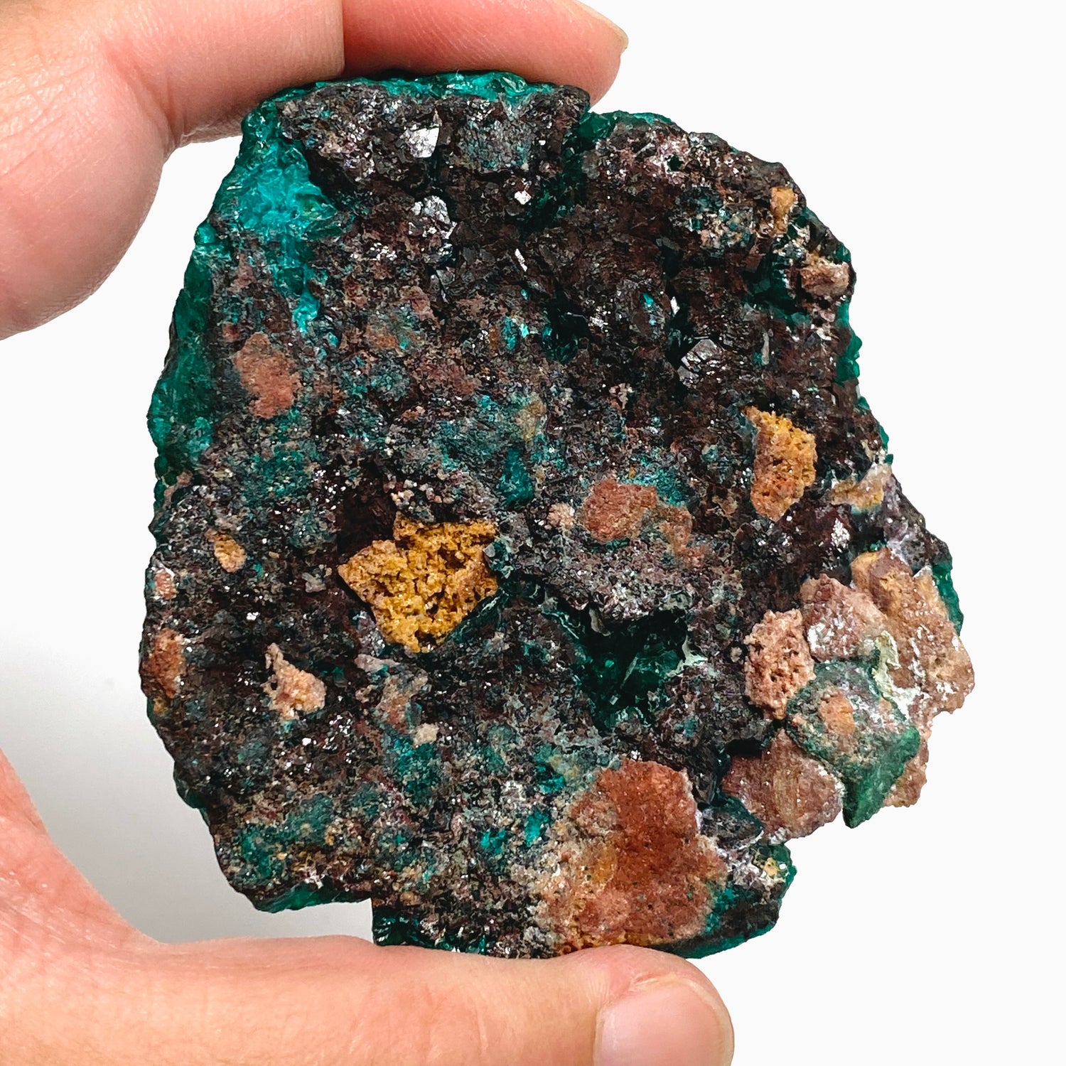 Dioptase with Malachite Crystal Specimen - Congo CR3743
