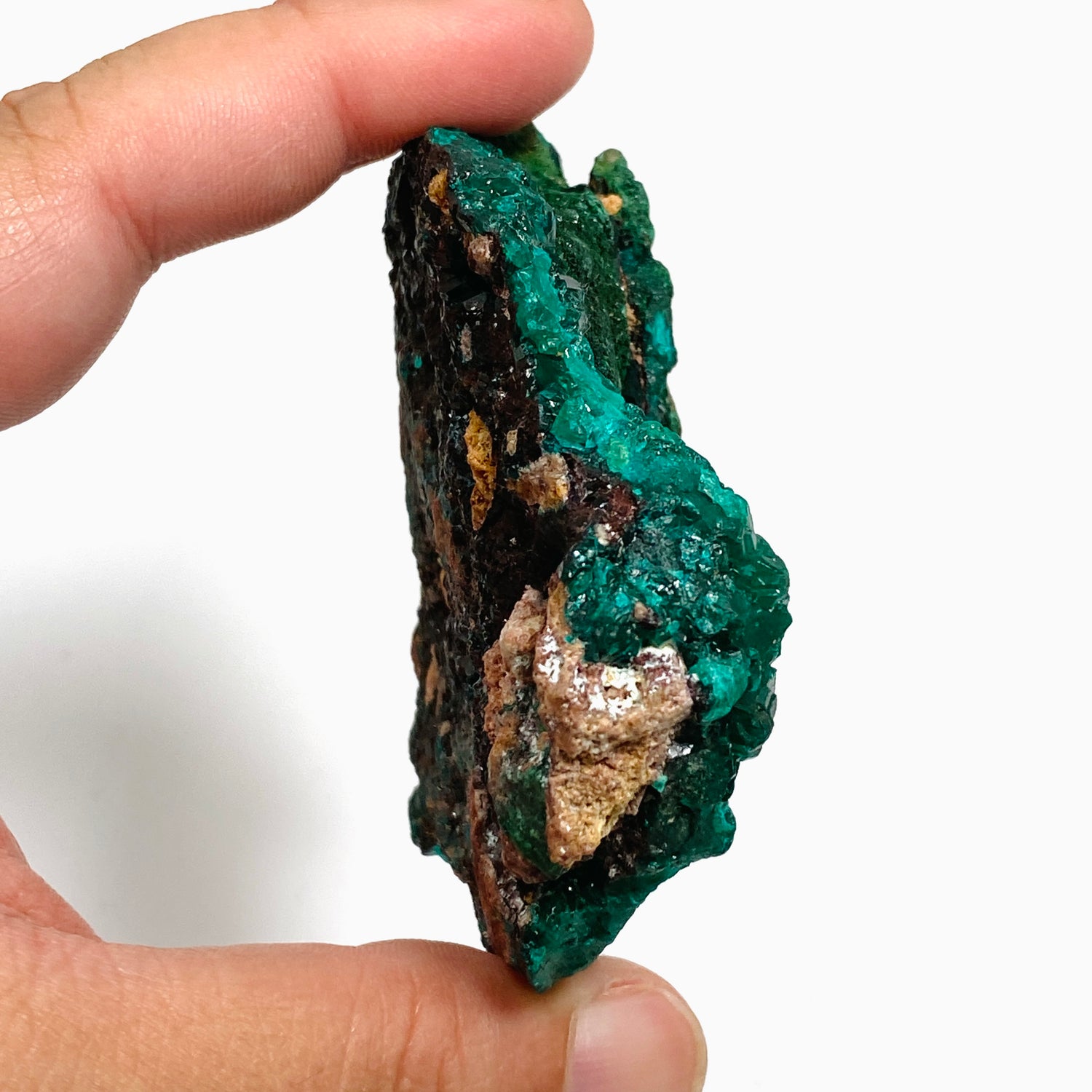 Dioptase with Malachite Crystal Specimen - Congo CR3743
