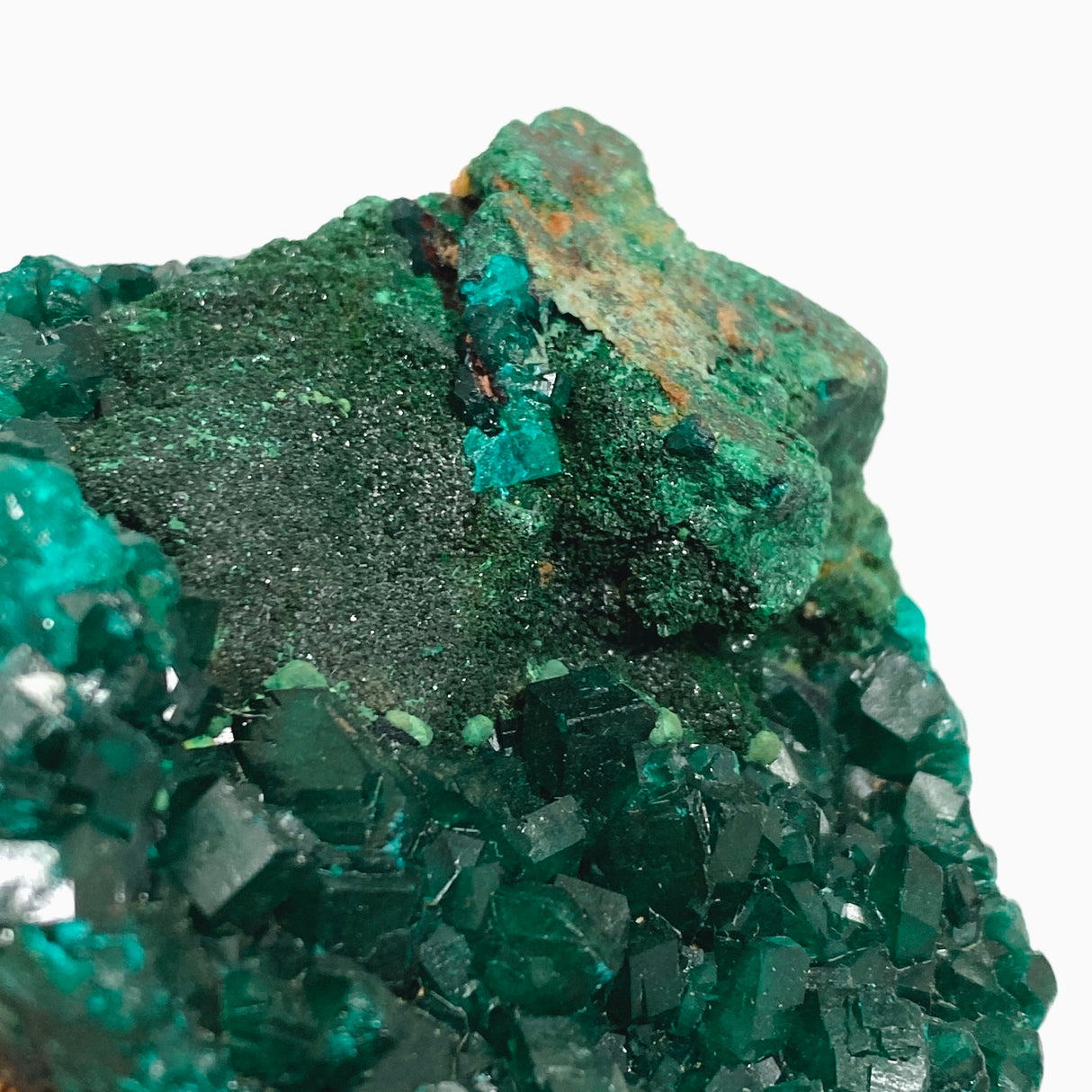 Dioptase with Malachite Crystal Specimen - Congo CR3743