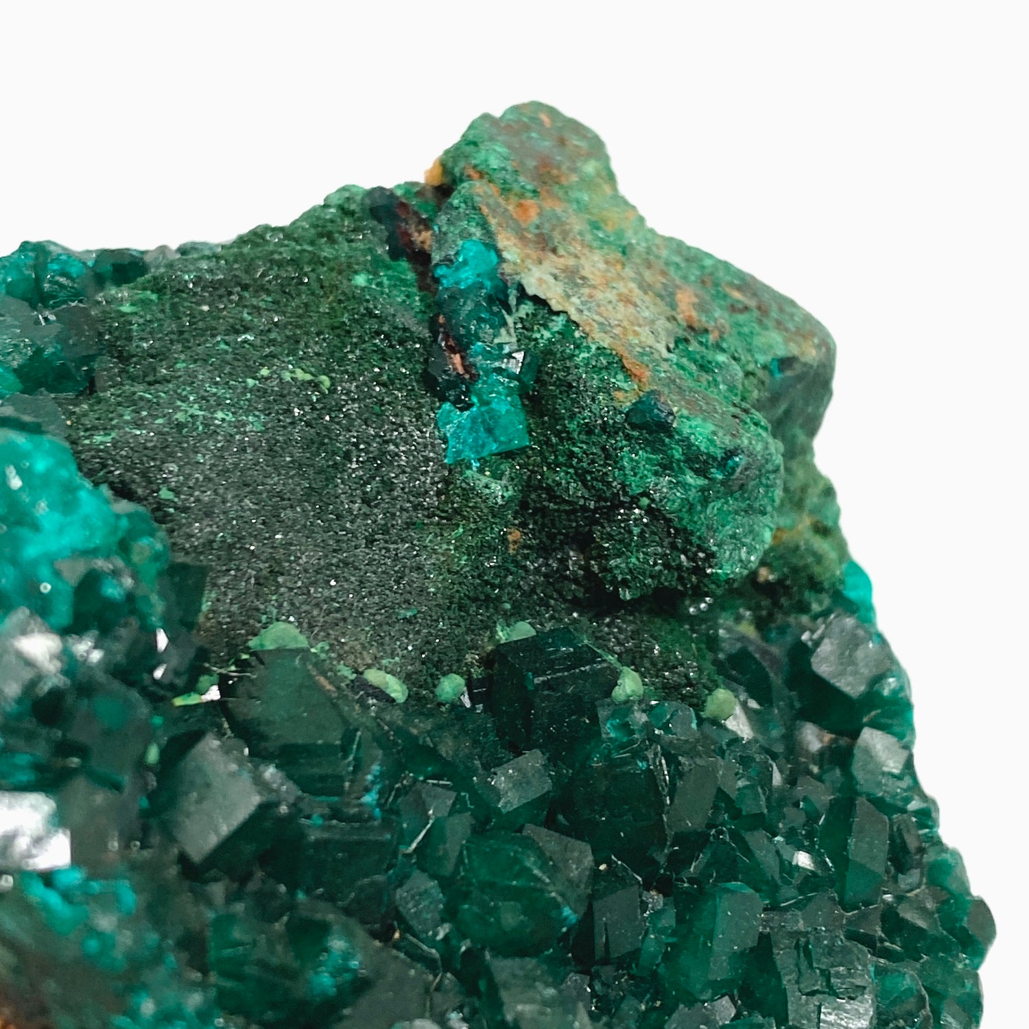 Dioptase with Malachite Crystal Specimen - Congo CR3743
