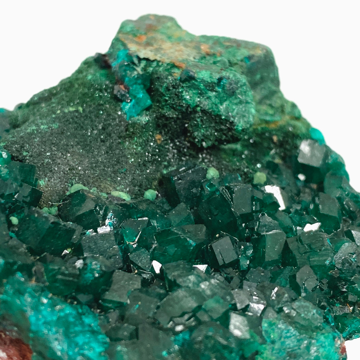 Dioptase with Malachite Crystal Specimen - Congo CR3743