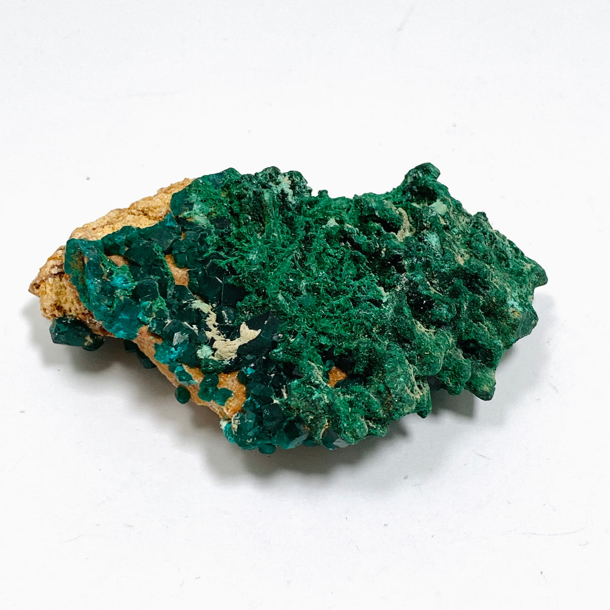 Dioptase with Malachite Crystal Specimen - Congo CR3745