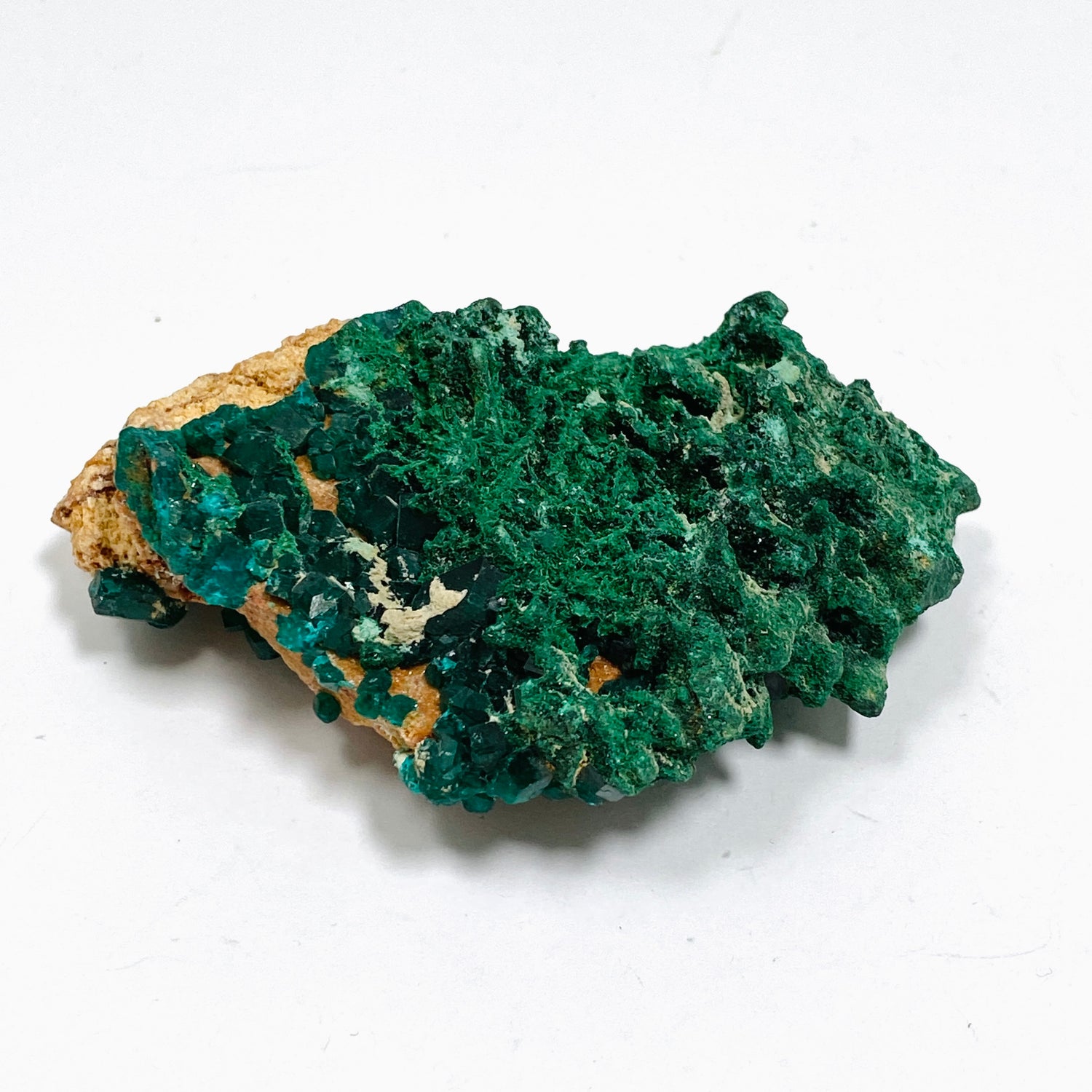 Dioptase with Malachite Crystal Specimen - Congo CR3745