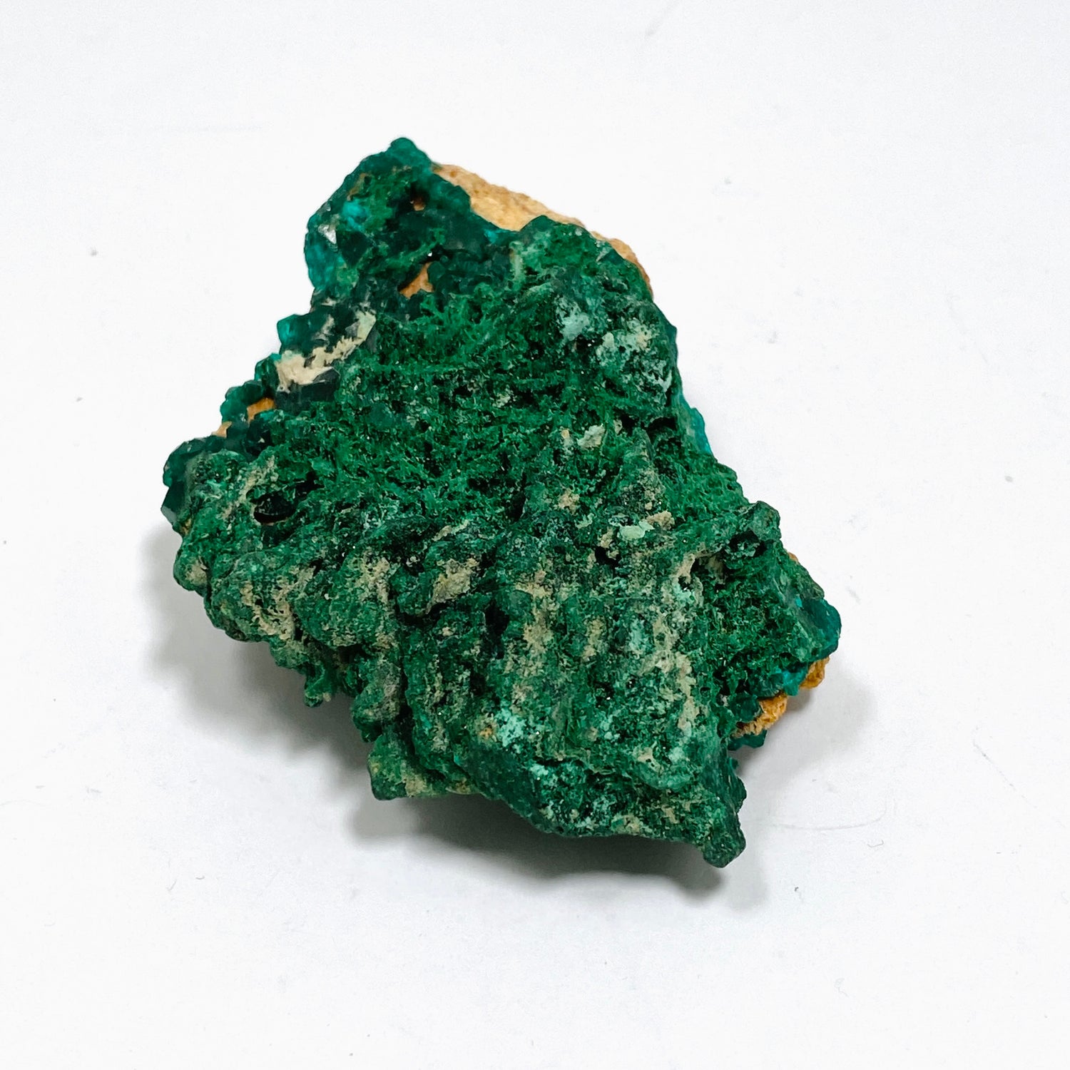 Dioptase with Malachite Crystal Specimen - Congo CR3745