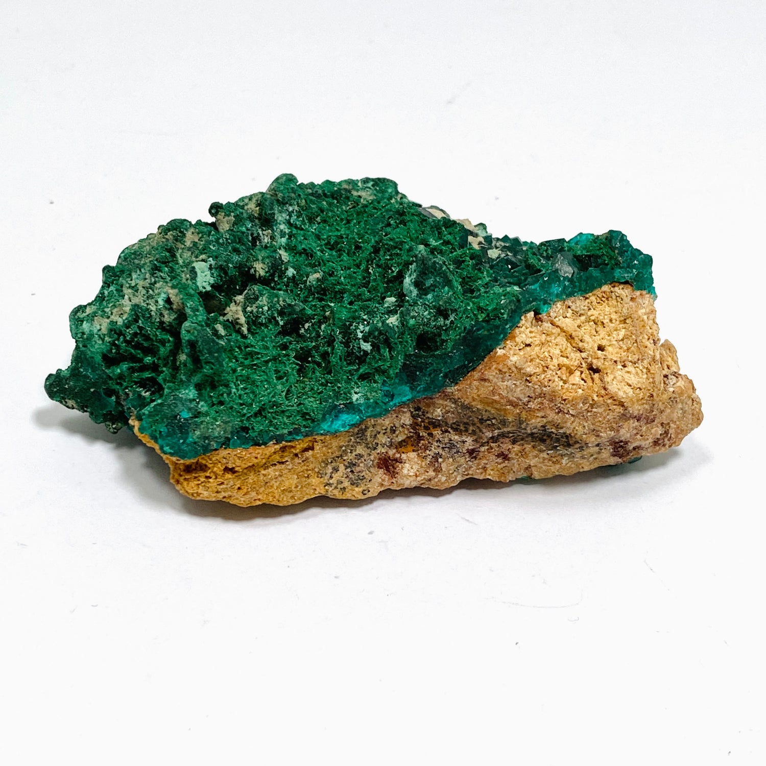 Dioptase with Malachite Crystal Specimen - Congo CR3745