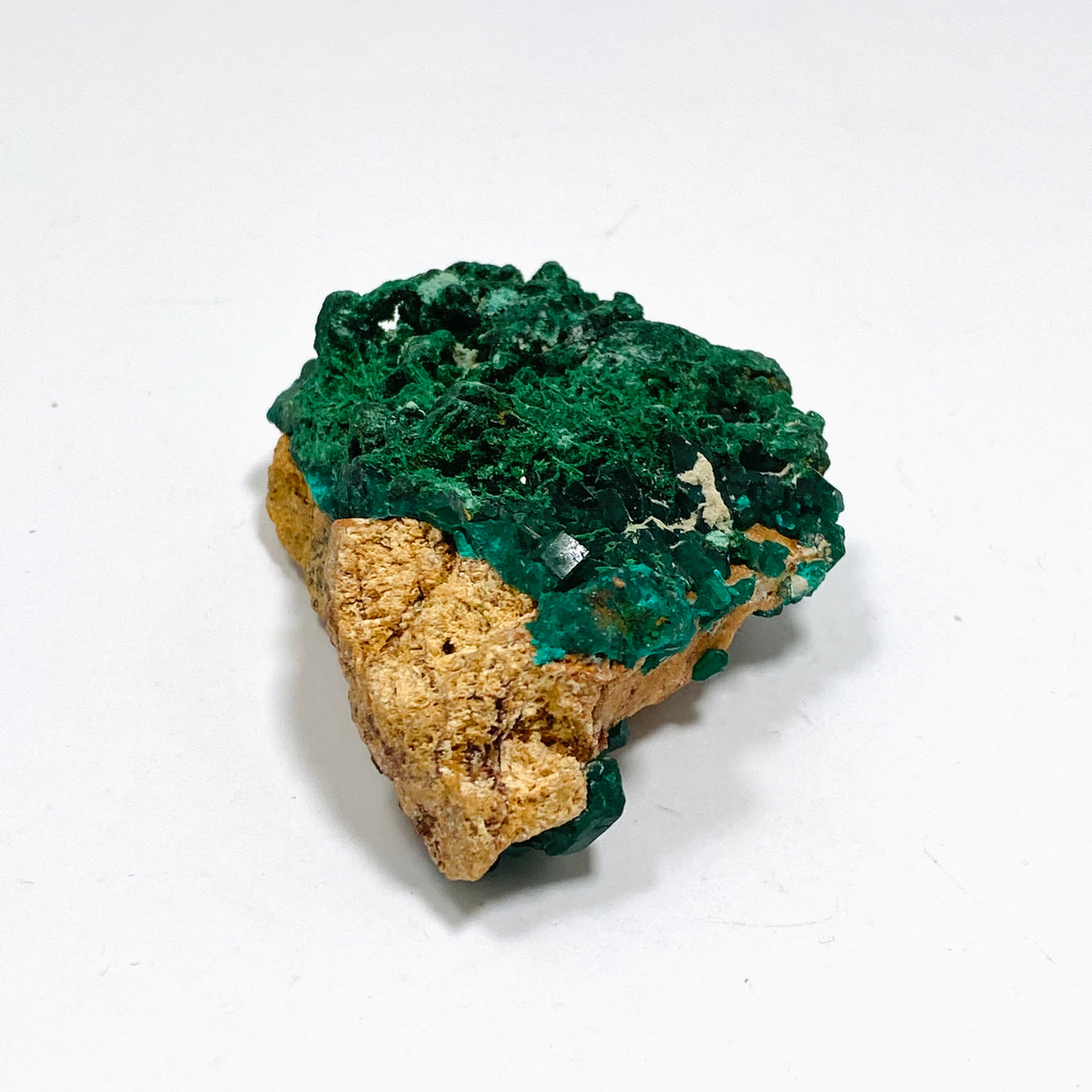 Dioptase with Malachite Crystal Specimen - Congo CR3745