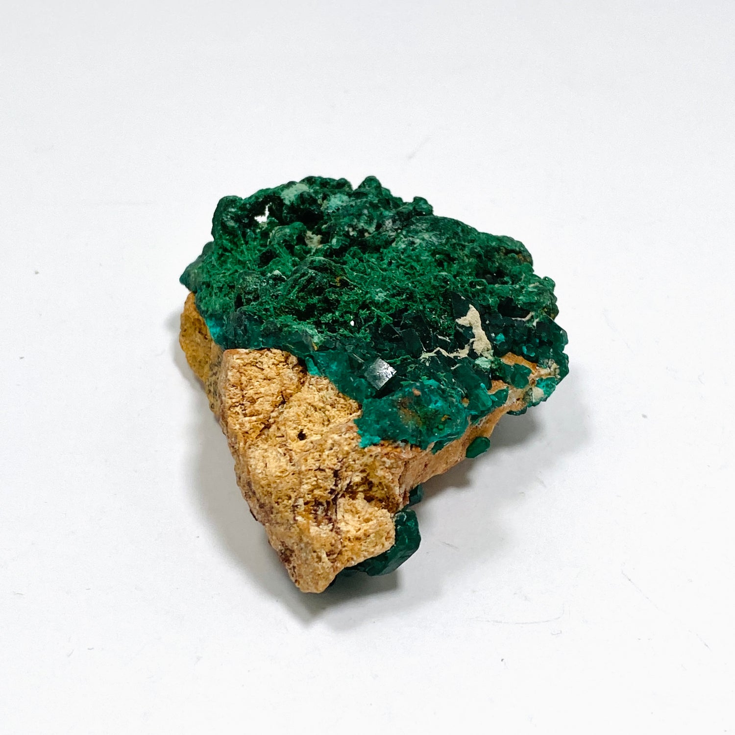 Dioptase with Malachite Crystal Specimen - Congo CR3745