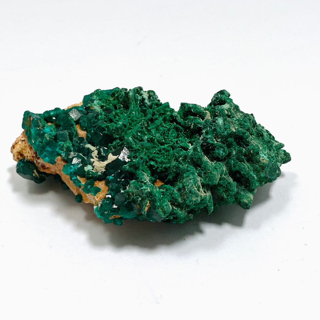 Dioptase with Malachite Crystal Specimen - Congo CR3745