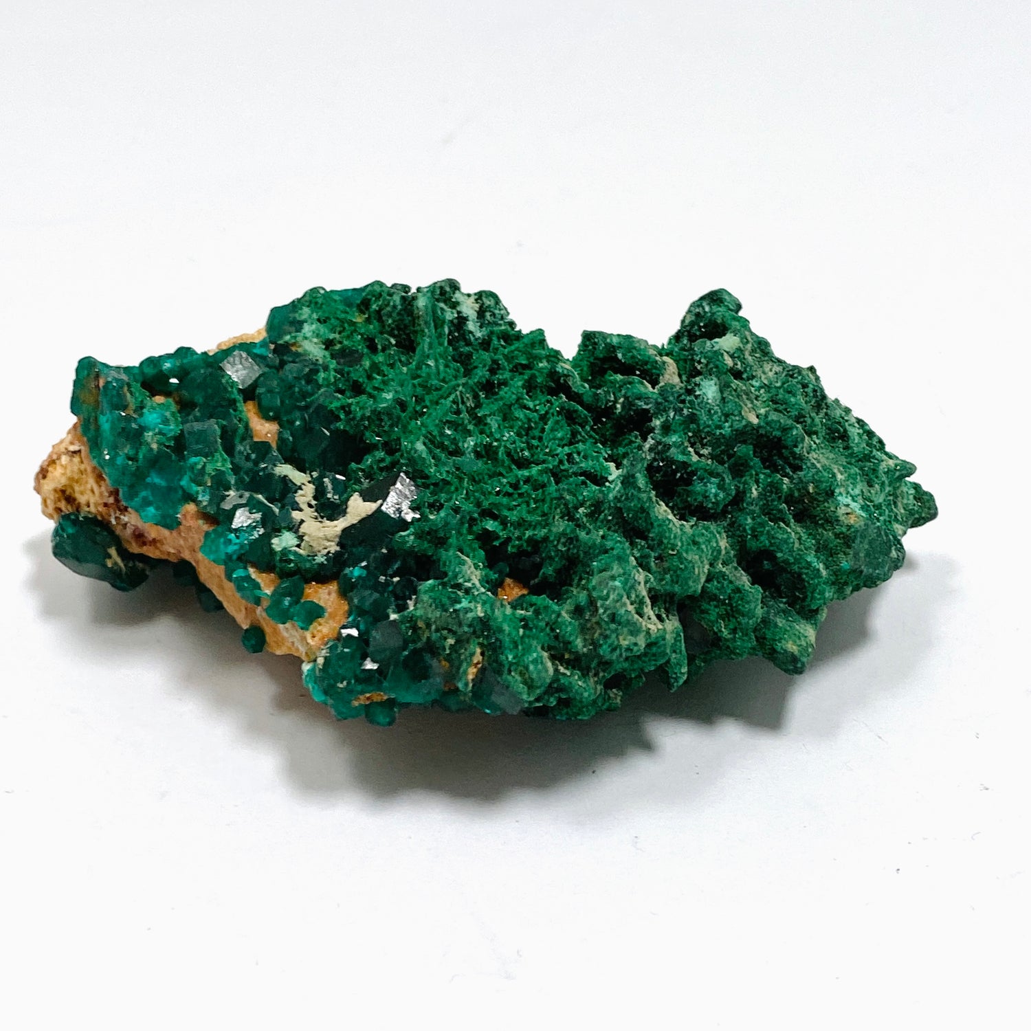 Dioptase with Malachite Crystal Specimen - Congo CR3745