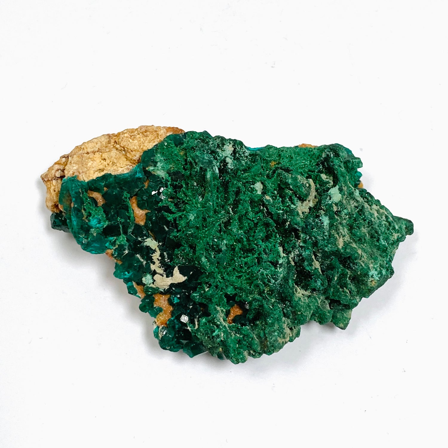 Dioptase with Malachite Crystal Specimen - Congo CR3745
