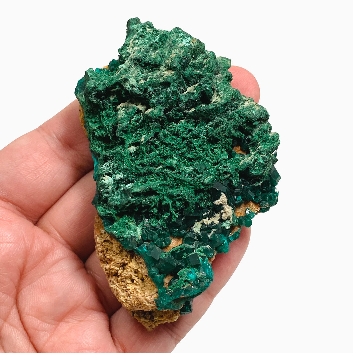 Dioptase with Malachite Crystal Specimen - Congo CR3745