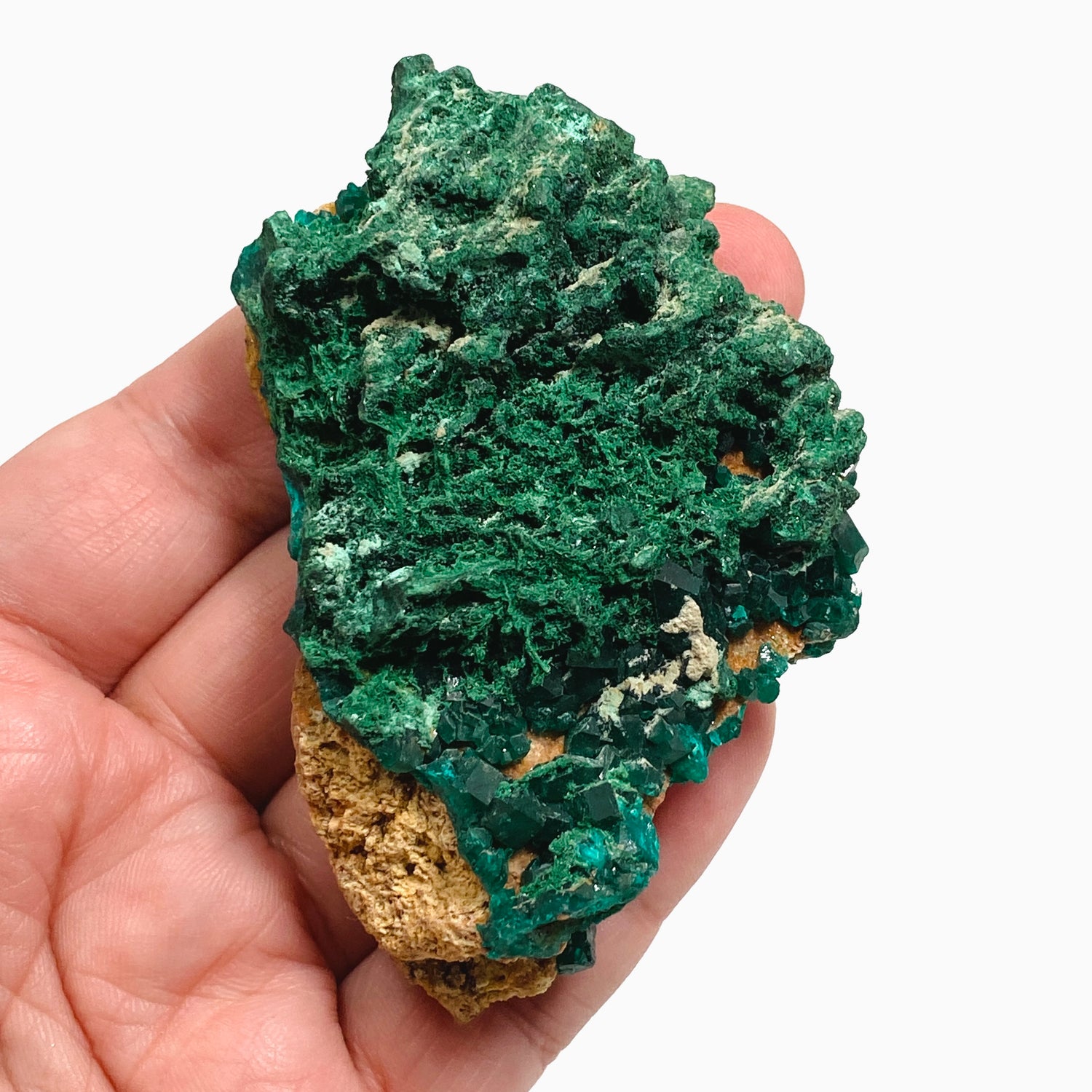 Dioptase with Malachite Crystal Specimen - Congo CR3745