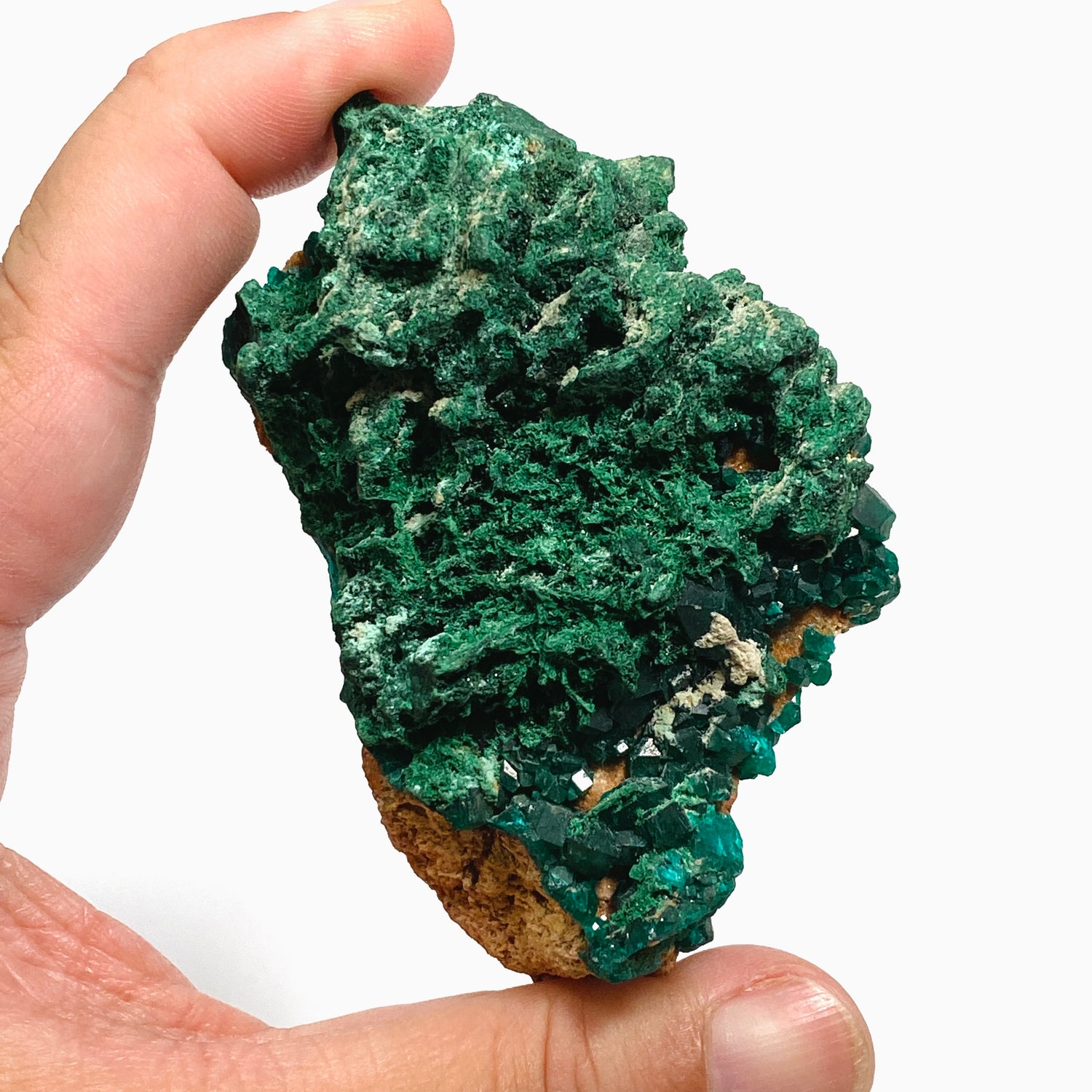 Dioptase with Malachite Crystal Specimen - Congo CR3745