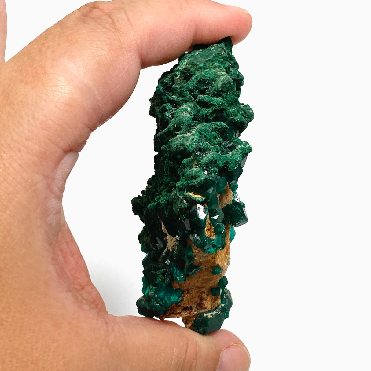 Dioptase with Malachite Crystal Specimen - Congo CR3745