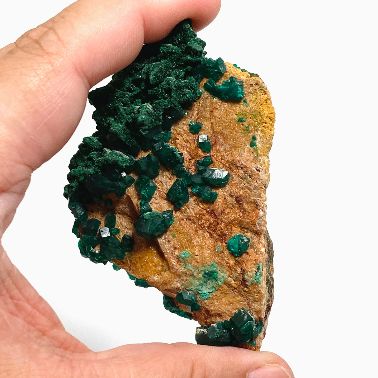Dioptase with Malachite Crystal Specimen - Congo CR3745