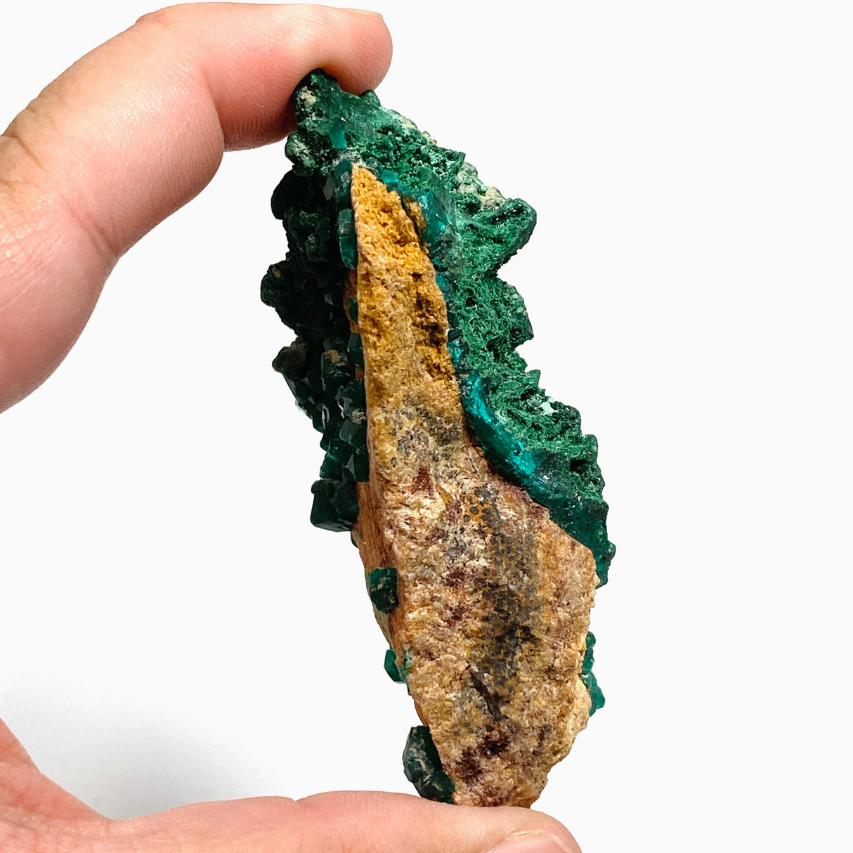 Dioptase with Malachite Crystal Specimen - Congo CR3745