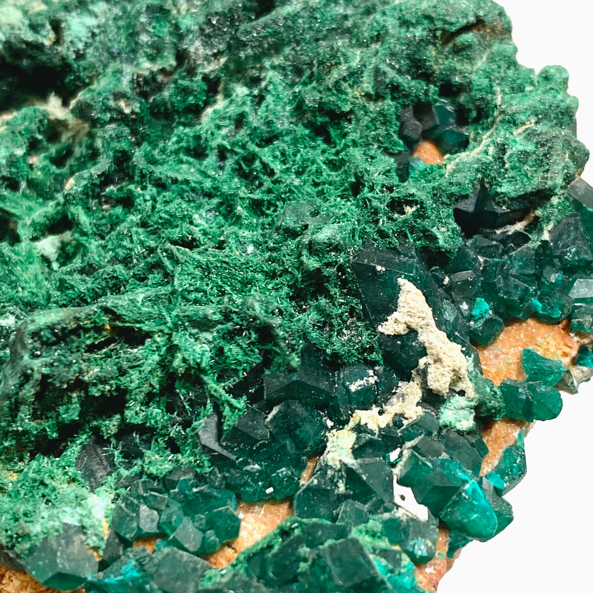 Dioptase with Malachite Crystal Specimen - Congo CR3745