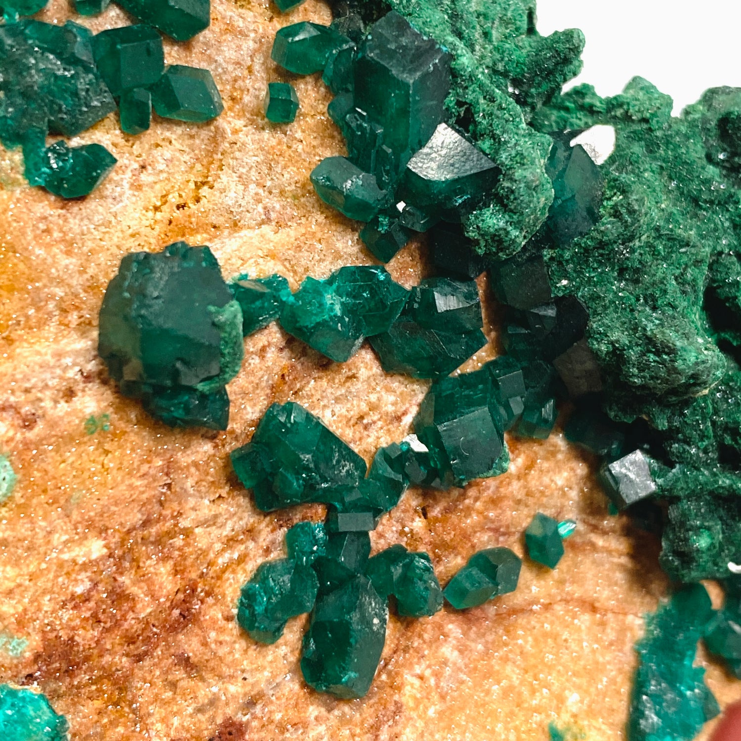 Dioptase with Malachite Crystal Specimen - Congo CR3745