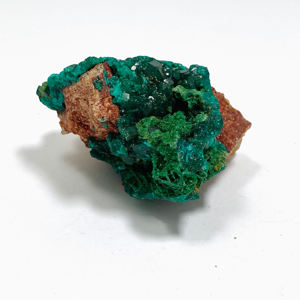 Dioptase with Malachite Crystal Specimen - Congo CR3746