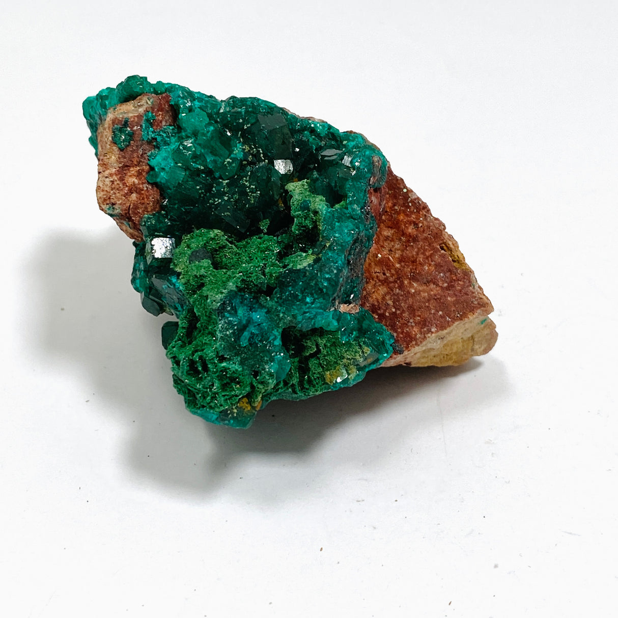 Dioptase with Malachite Crystal Specimen - Congo CR3746