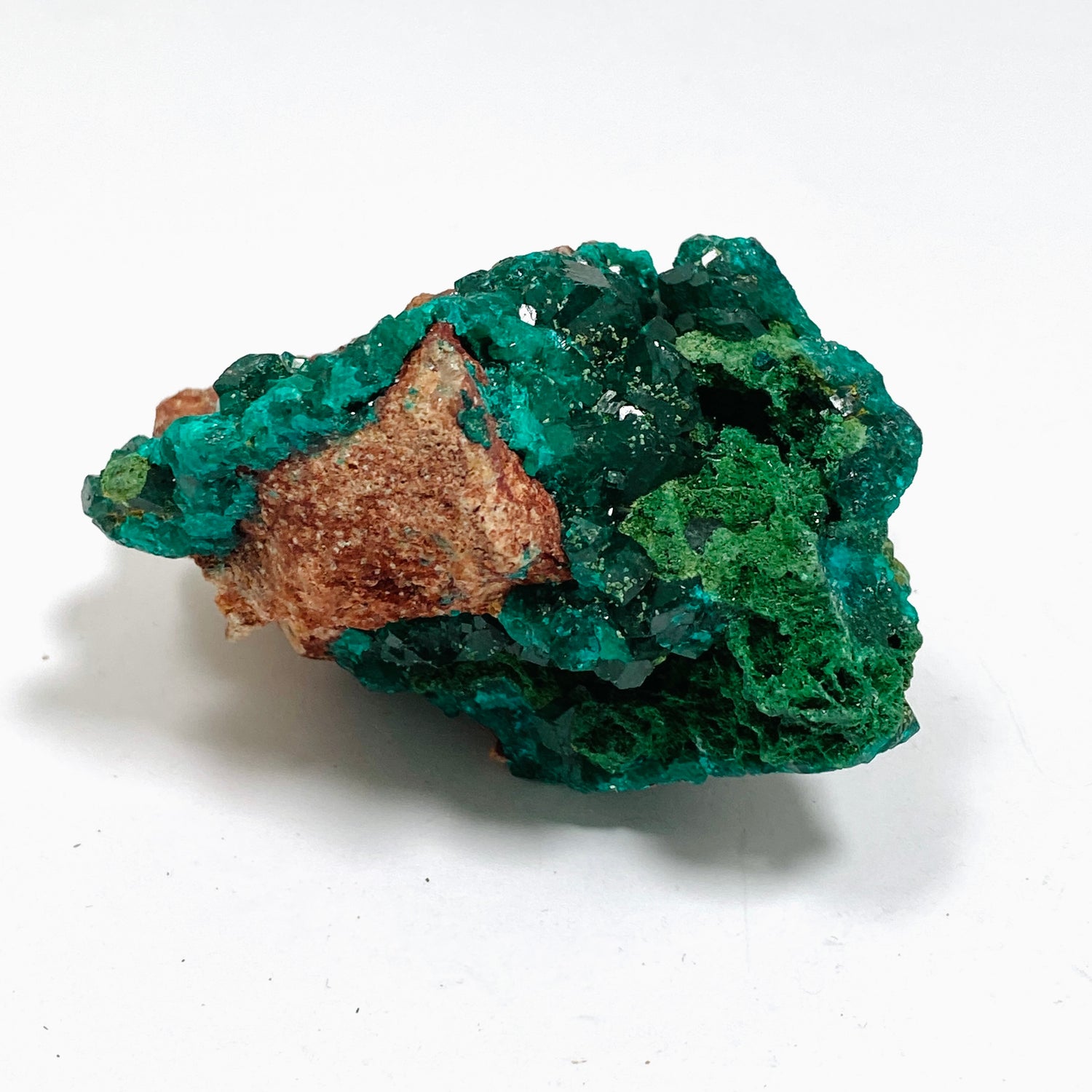 Dioptase with Malachite Crystal Specimen - Congo CR3746