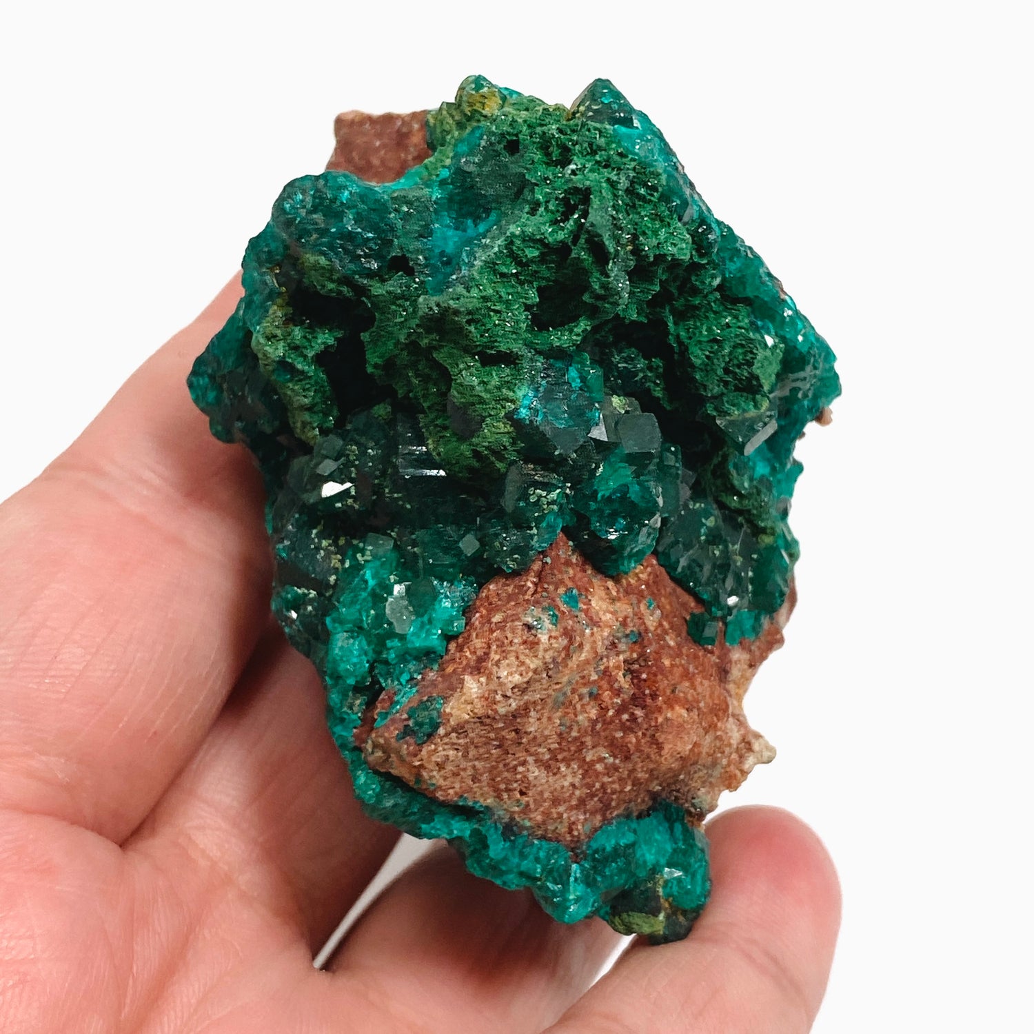 Dioptase with Malachite Crystal Specimen - Congo CR3746