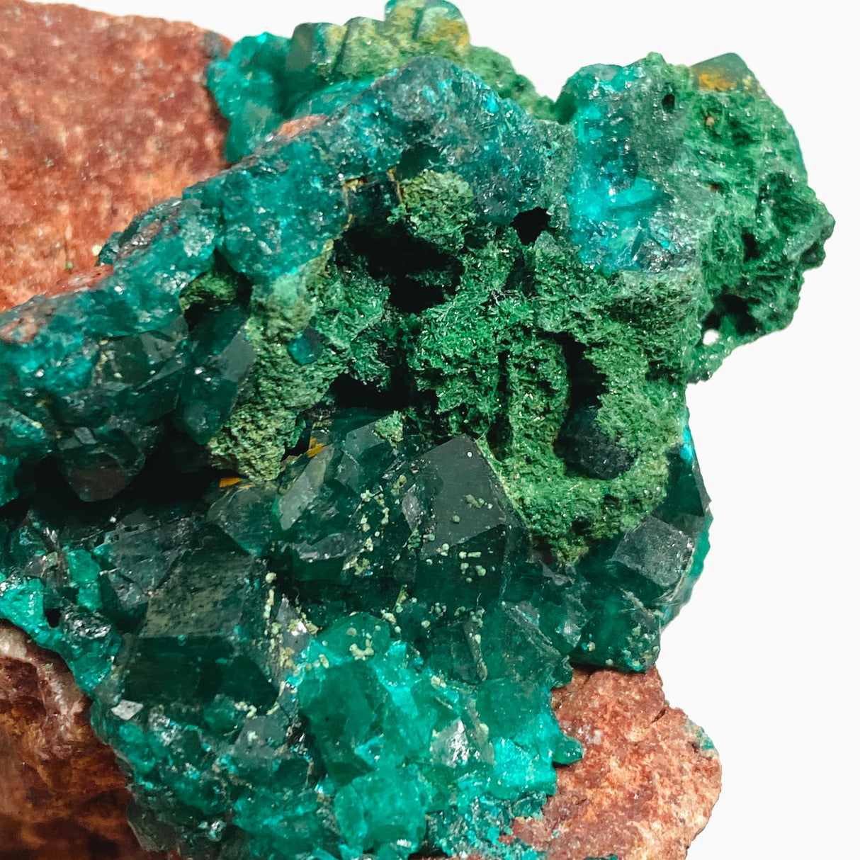 Dioptase with Malachite Crystal Specimen - Congo CR3746