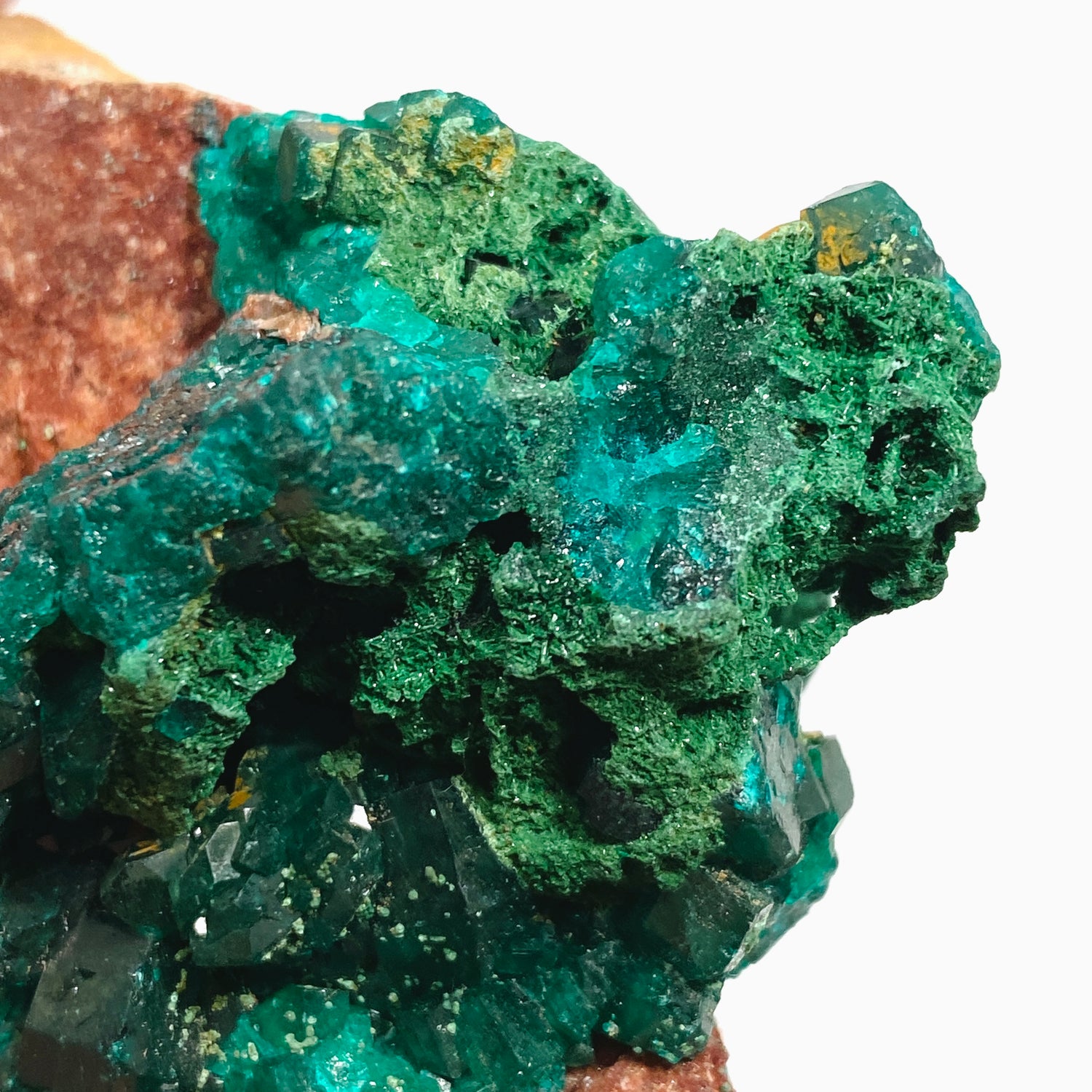 Dioptase with Malachite Crystal Specimen - Congo CR3746