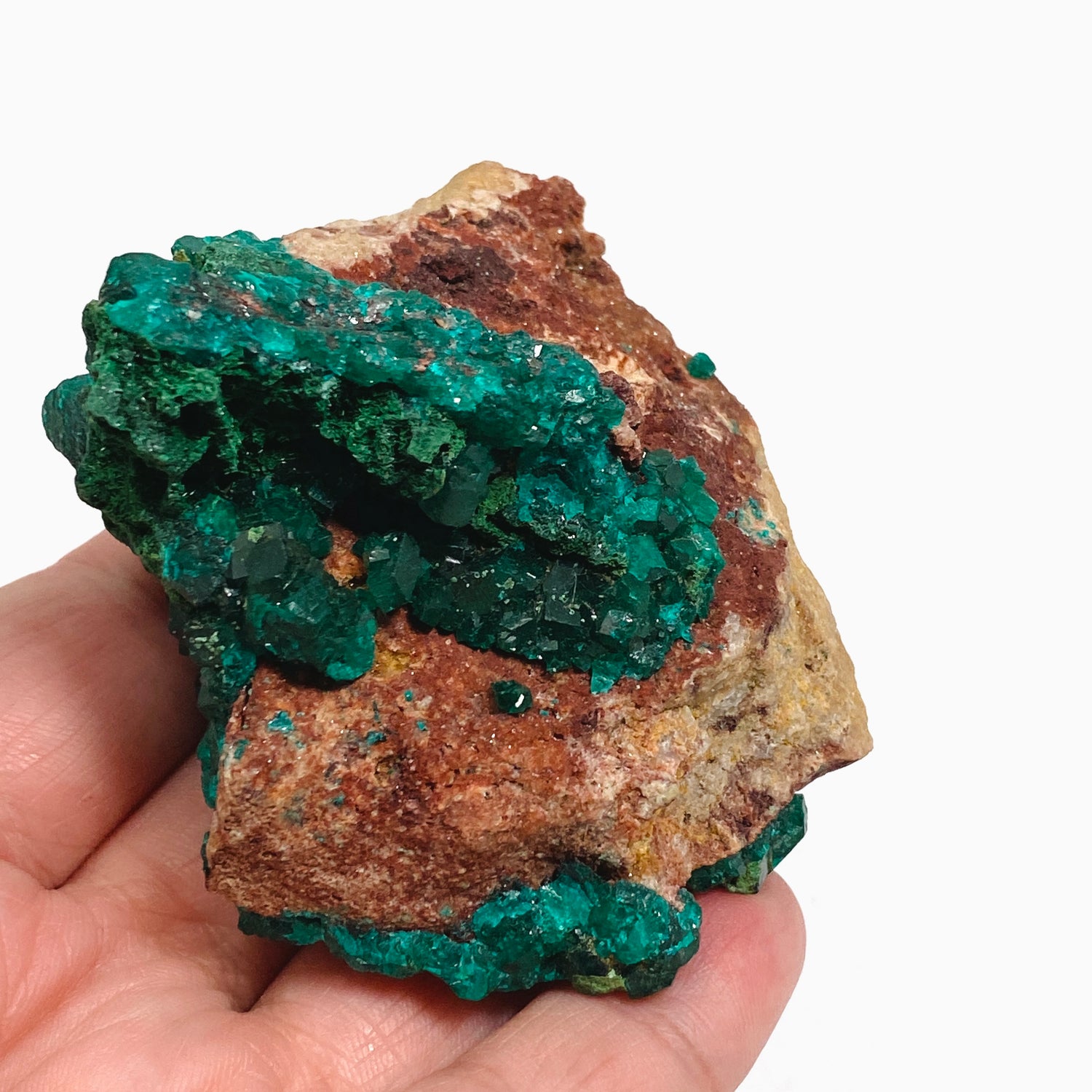 Dioptase with Malachite Crystal Specimen - Congo CR3746