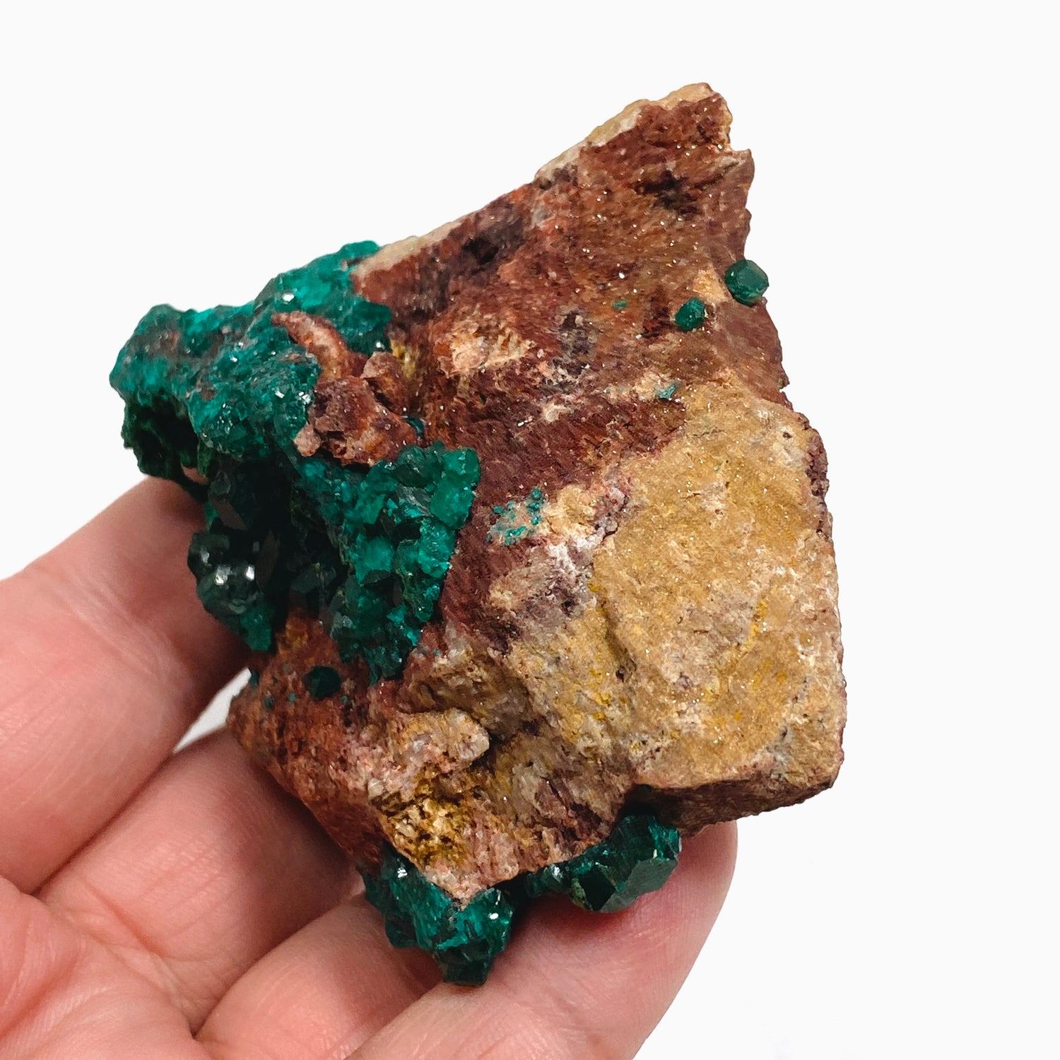 Dioptase with Malachite Crystal Specimen - Congo CR3746