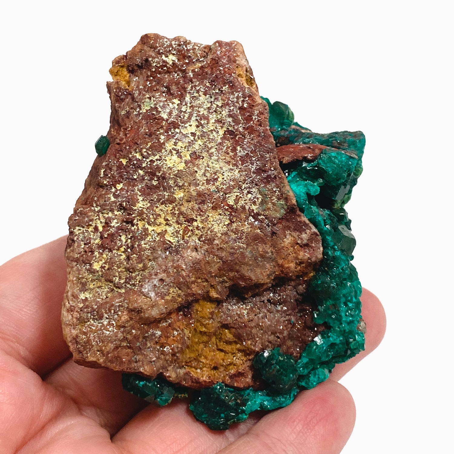 Dioptase with Malachite Crystal Specimen - Congo CR3746