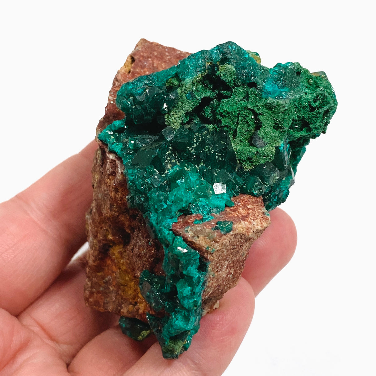 Dioptase with Malachite Crystal Specimen - Congo CR3746
